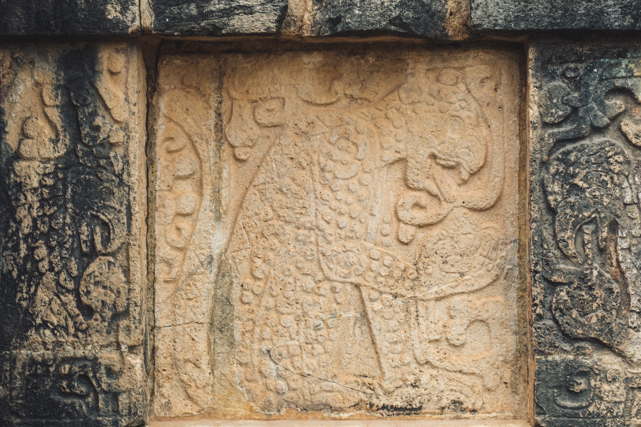 coeur humain mangé par un jaguar