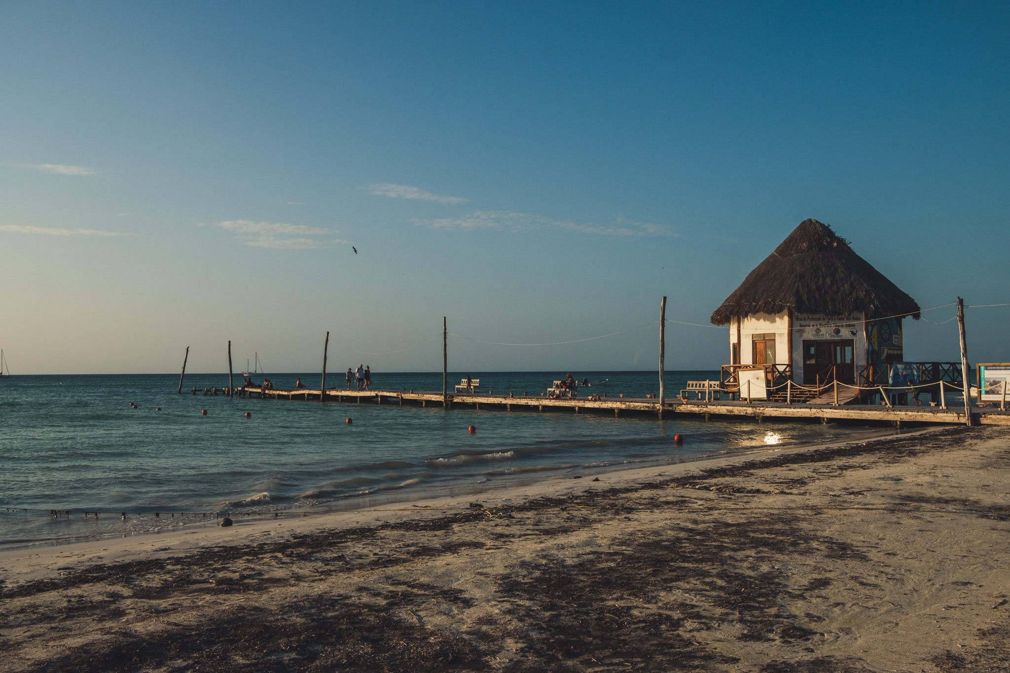 no sargasso in holbox, mexique