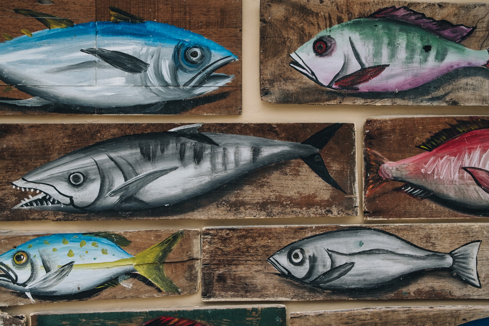 poissons street art holbox