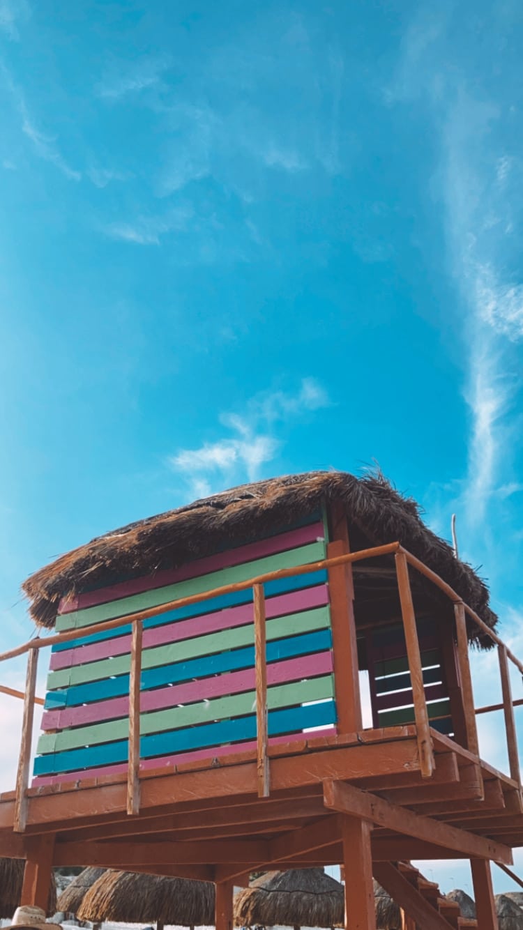 playa delphines cancun