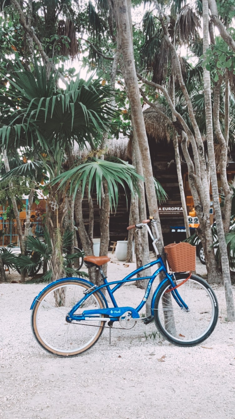 beach strip tulum riviera maya