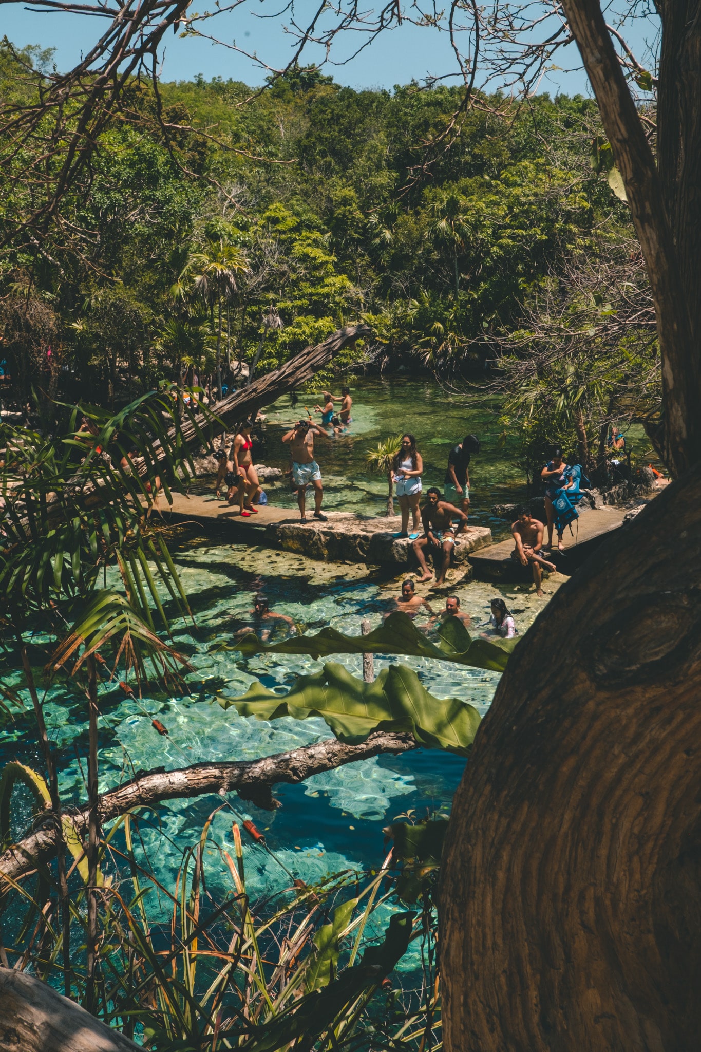 Tulum playa del carmen cenote azul