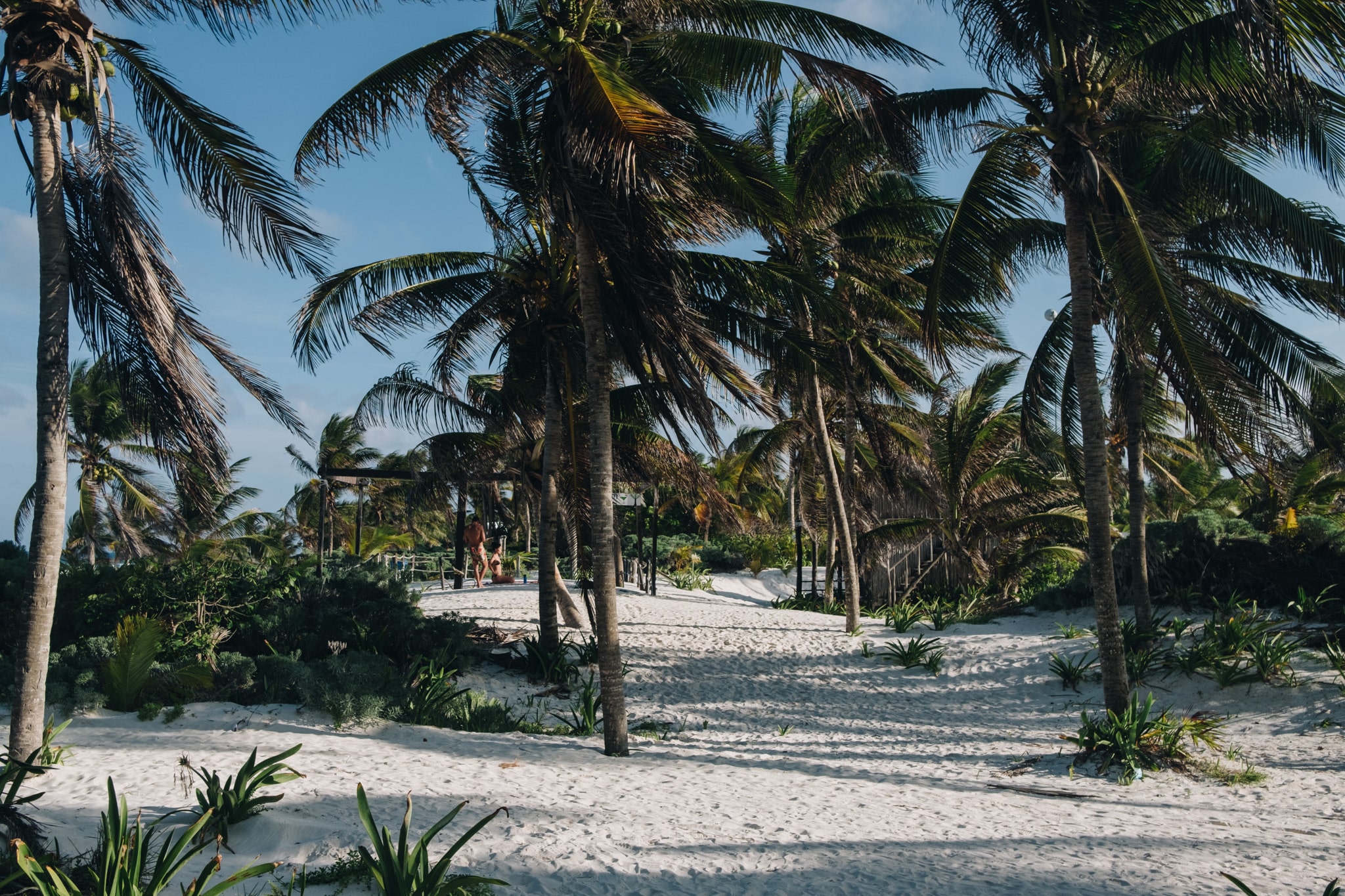 Plages paradis playa del carmen tulum