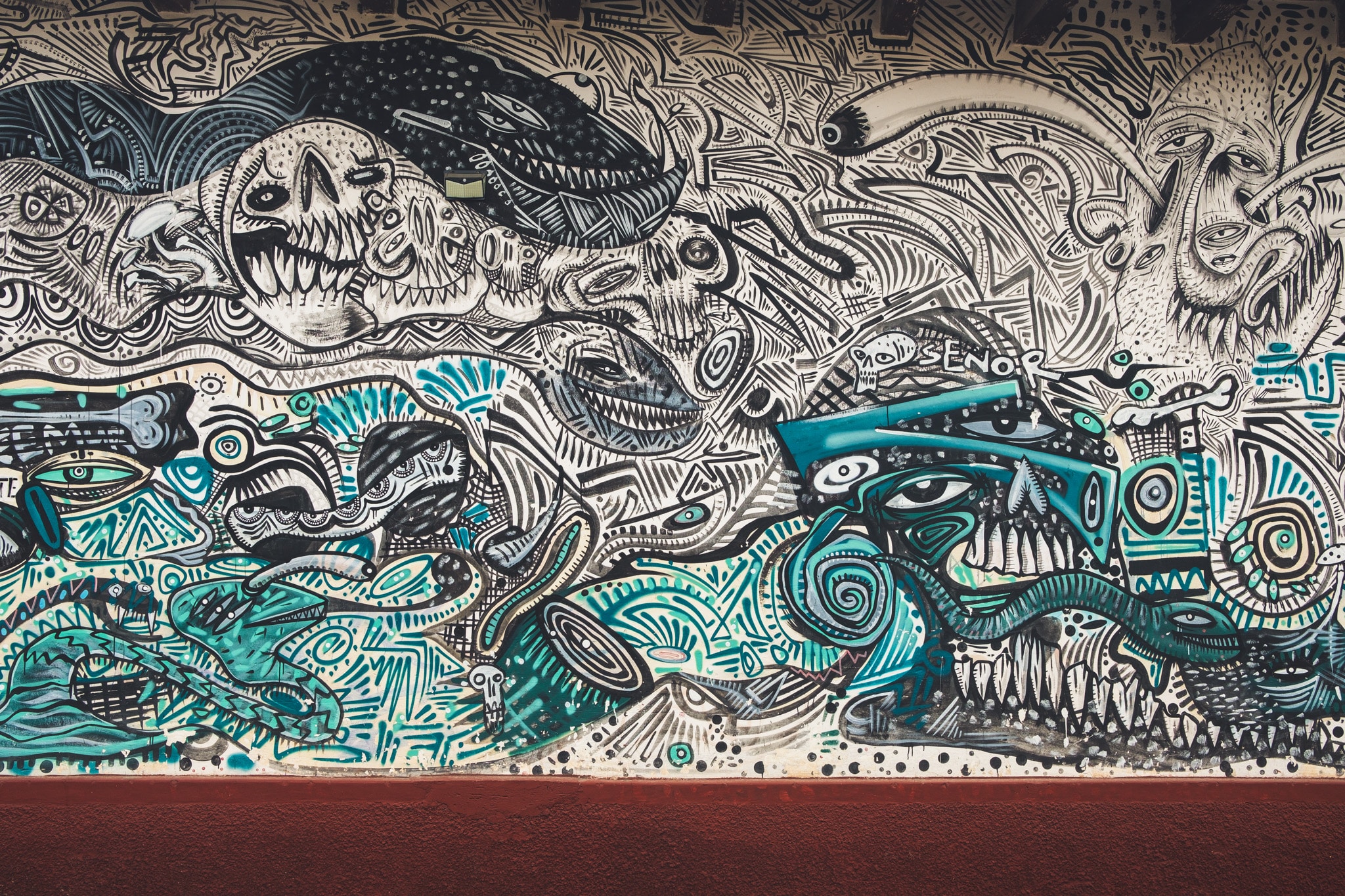 sea carlos visiter san cristobal