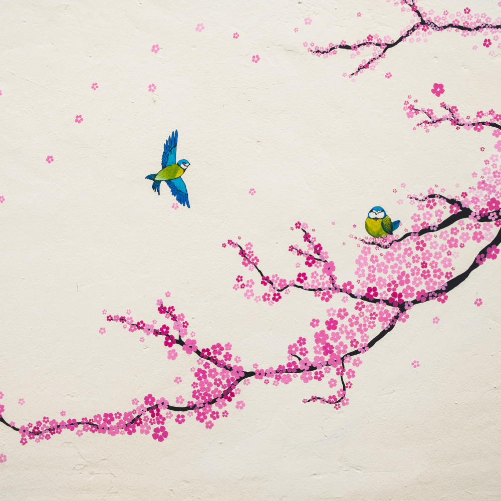 visiter san cristobal comme un oiseau