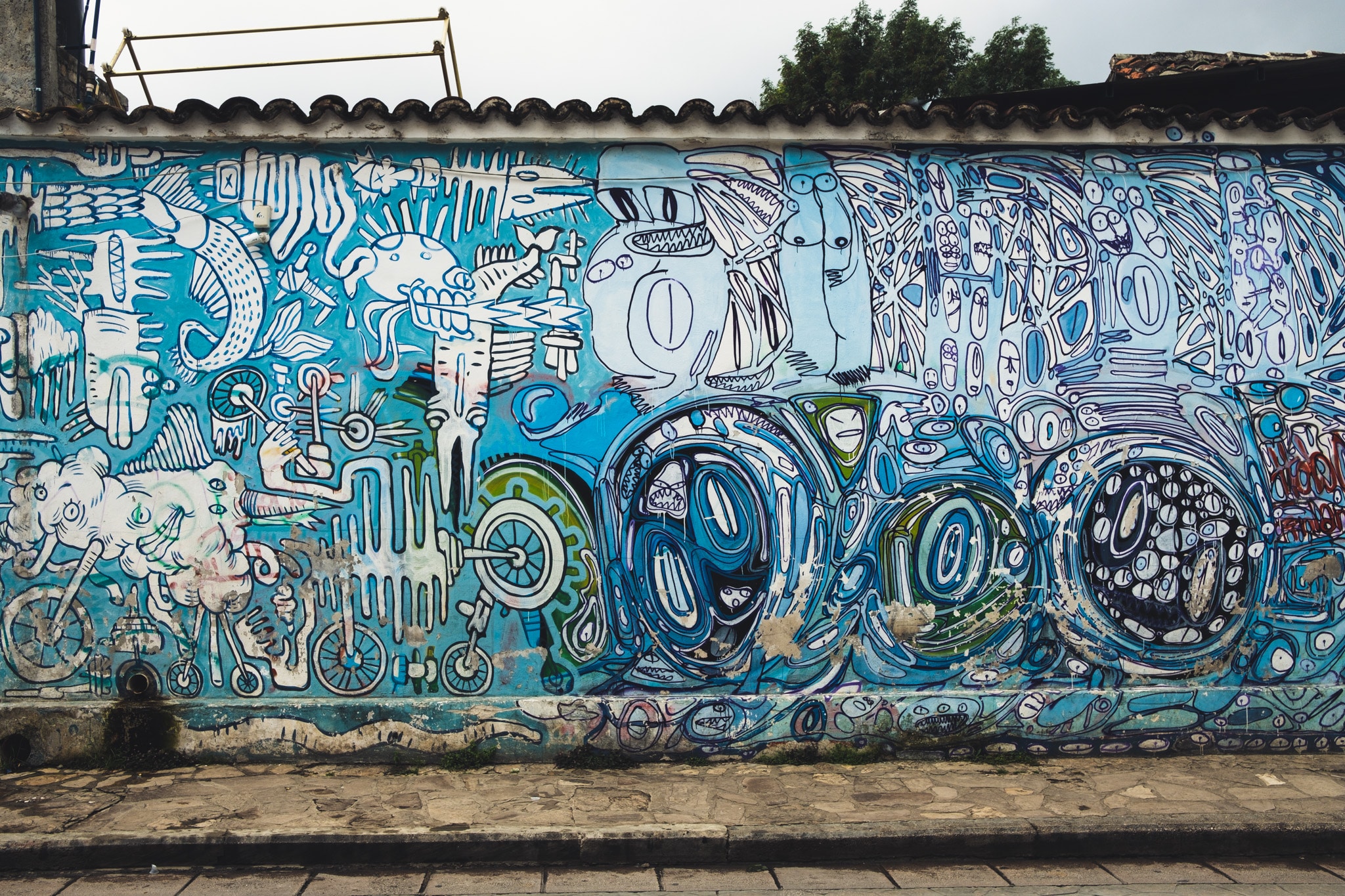 visiter san cristobal carlos sea