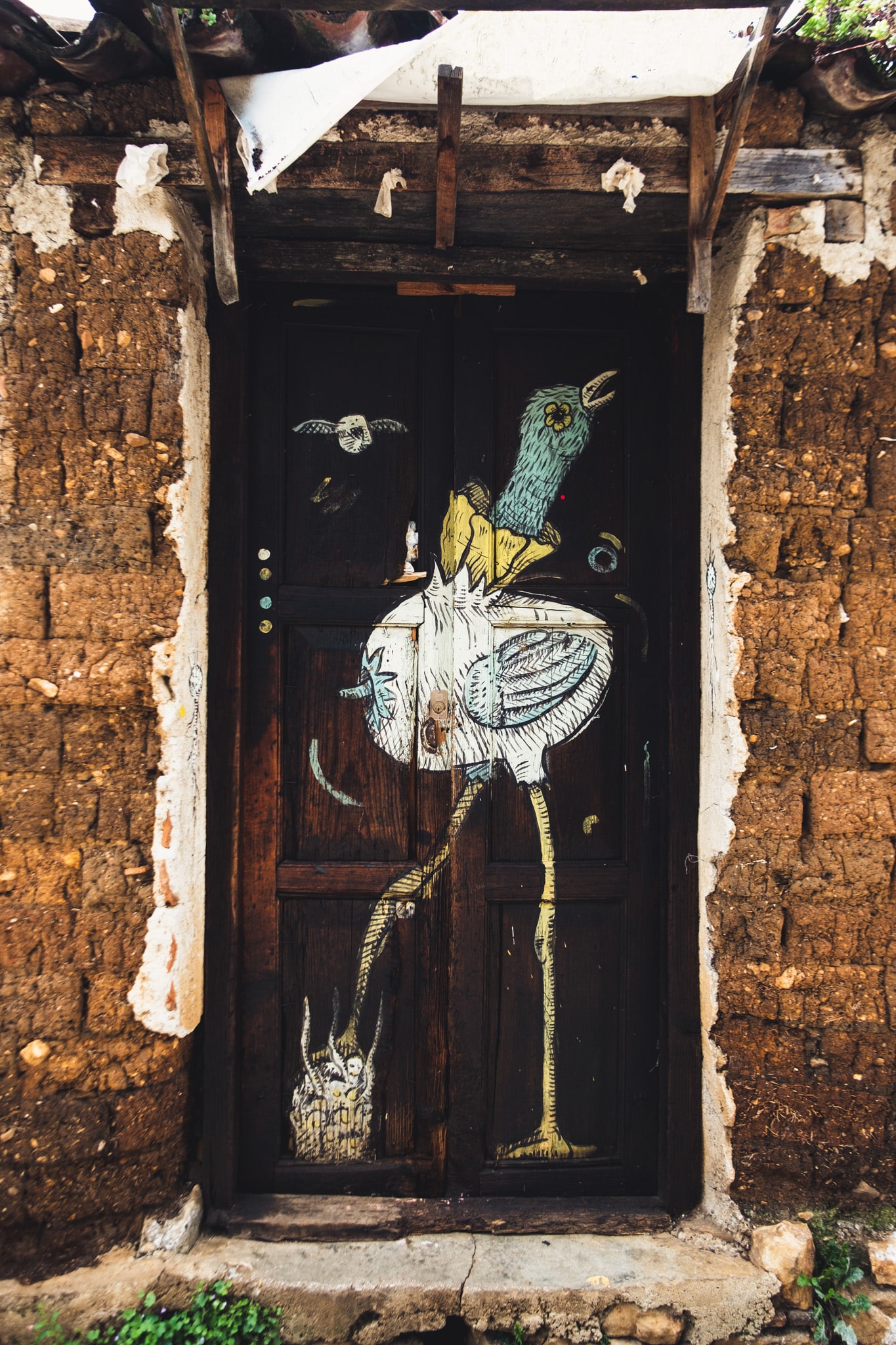 Autruche mur san cristobal de las casas