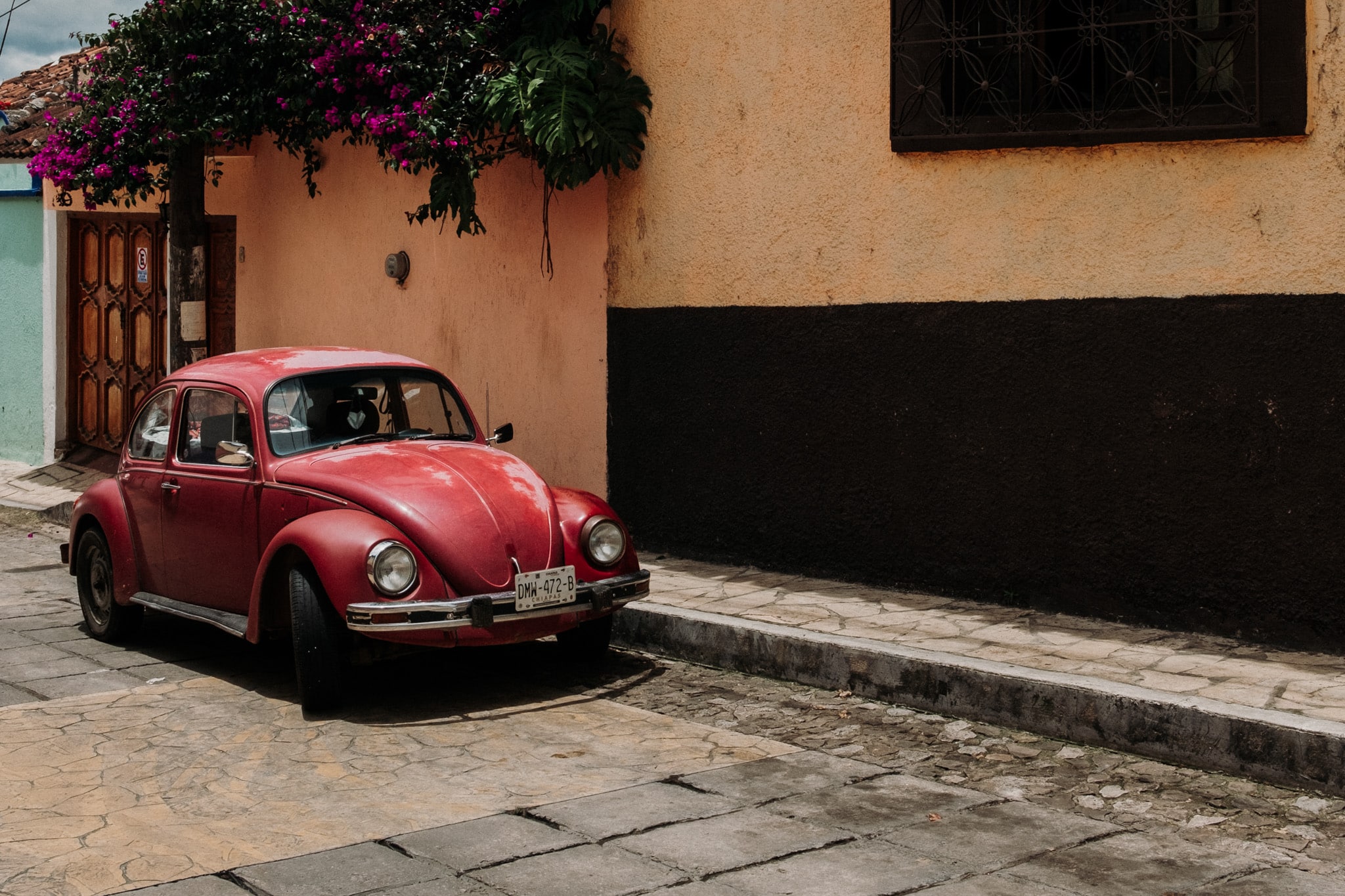 coccinelle chiapas mexique