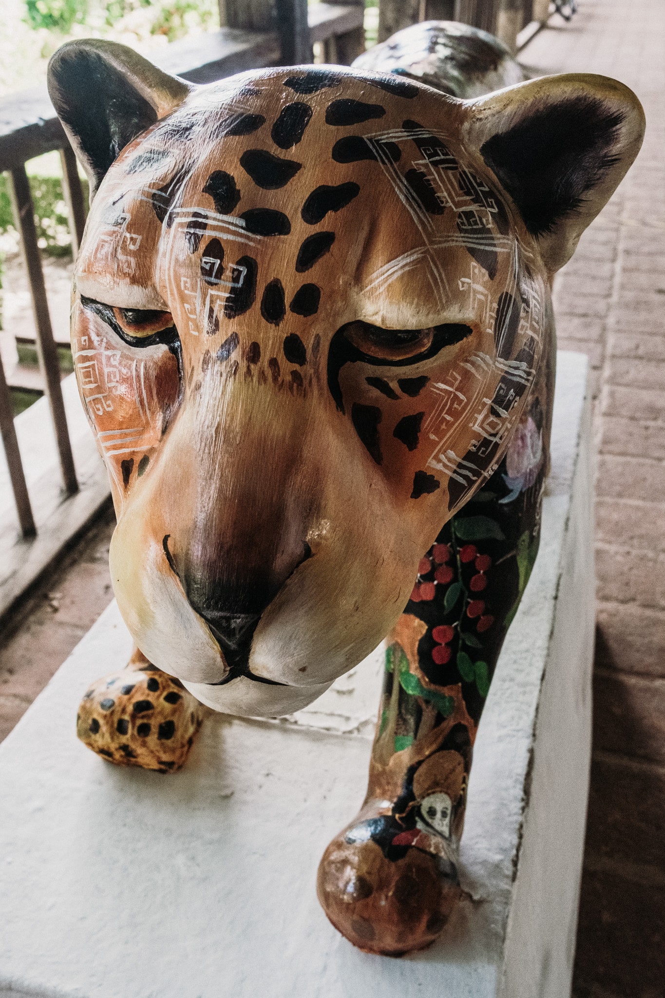 on a vu un jaguar san cristobal