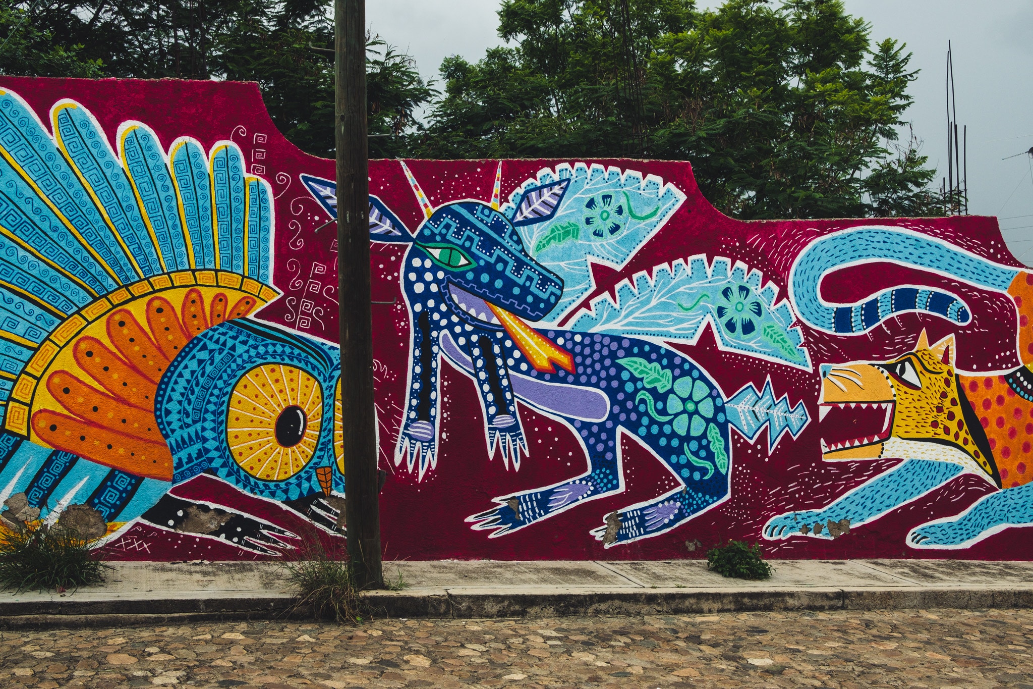 visiter oaxaca day trip arazola