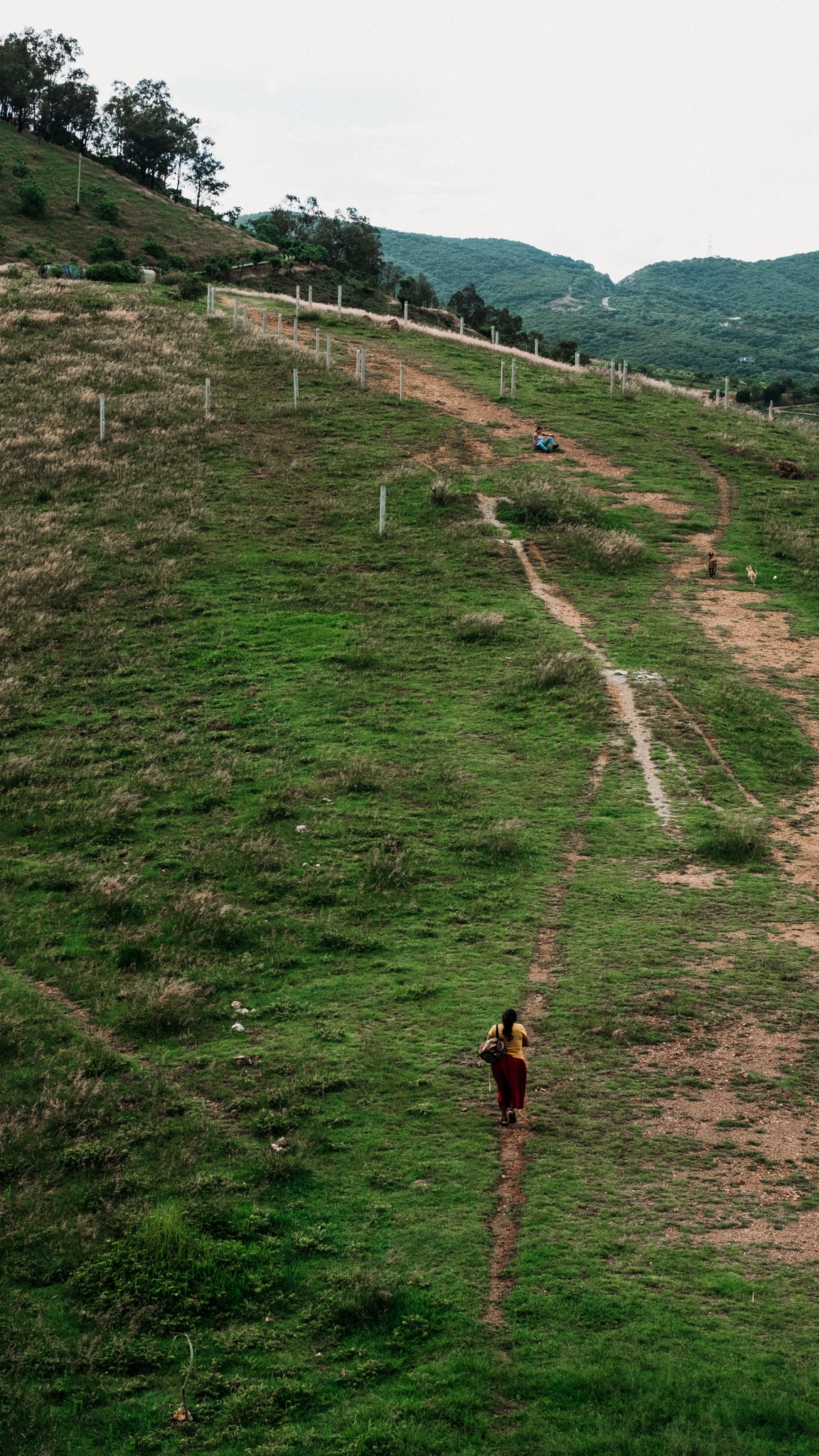 cerro de la cruz oaxaca mexique