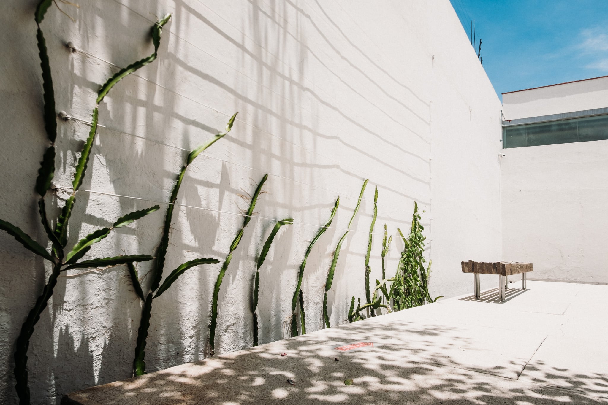 que faire à oaxaca city