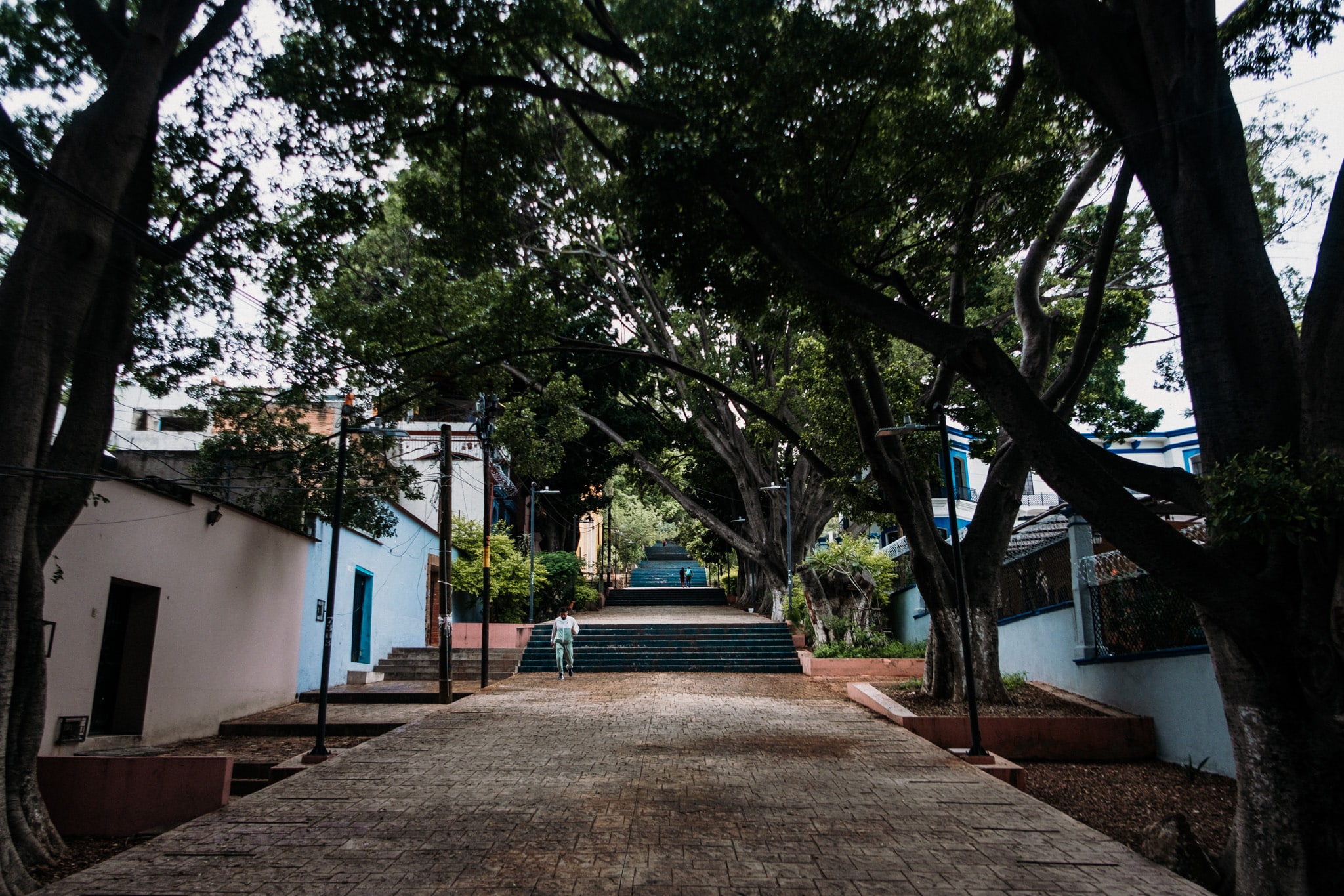 auditorium oaxaca balade