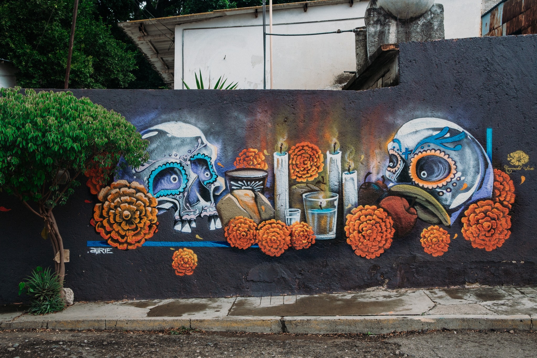 street art oaxaca de juarez