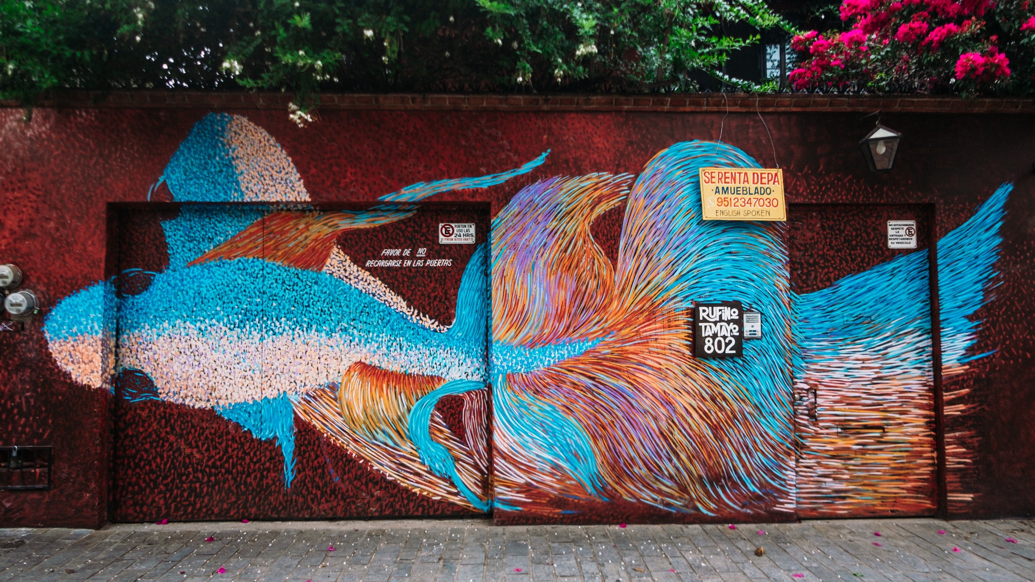 street art xochimilco