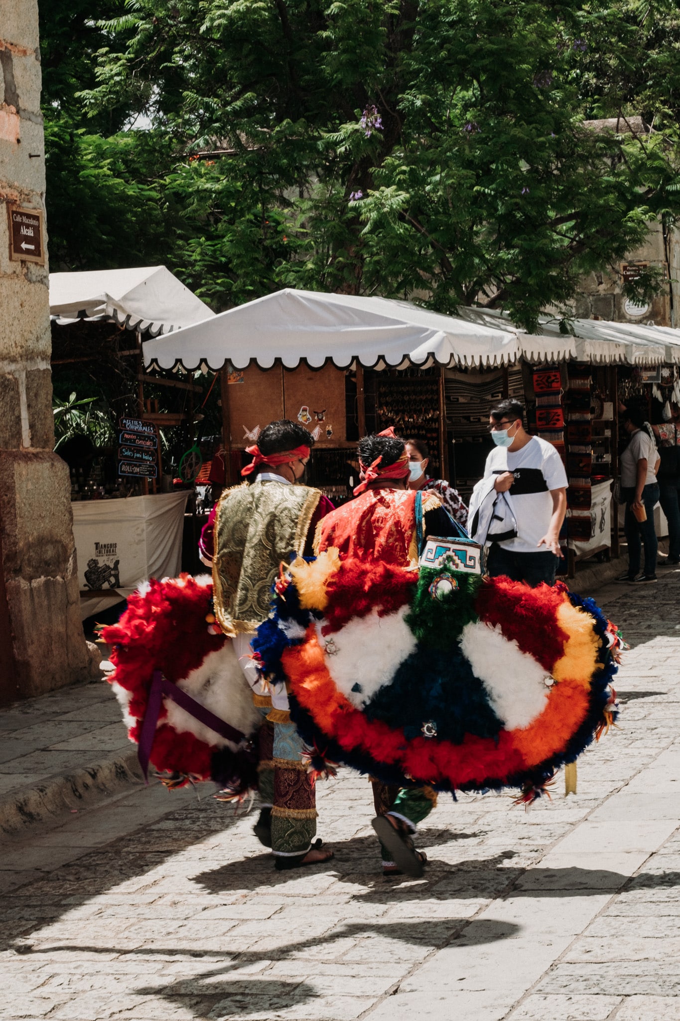 spectacle zocalo oaxaca mexique