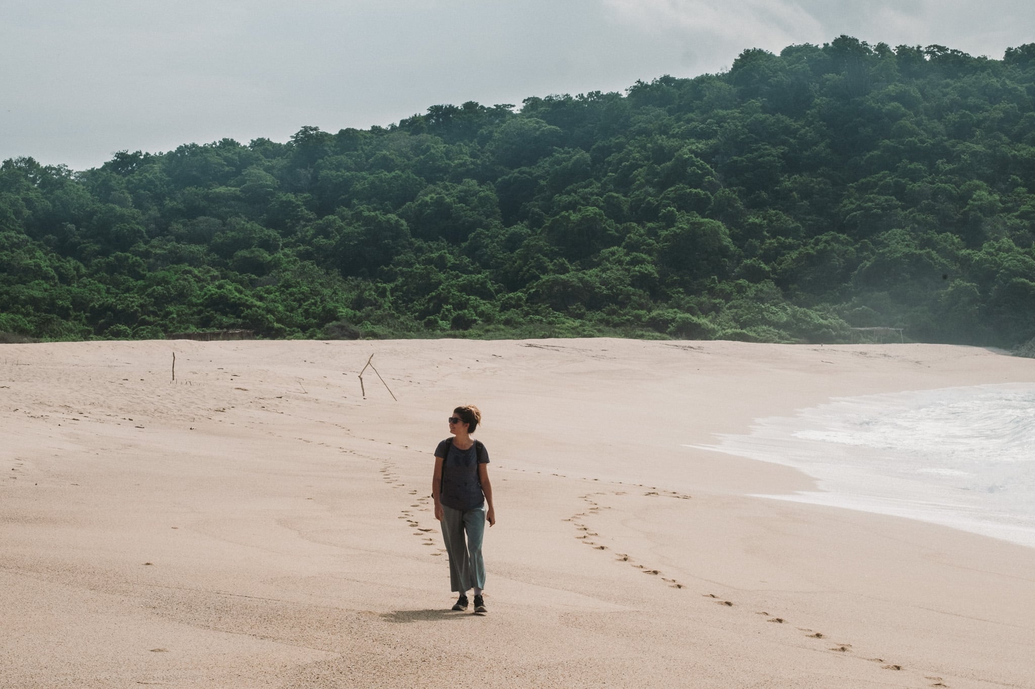 paresseux curieux playa cacaluta