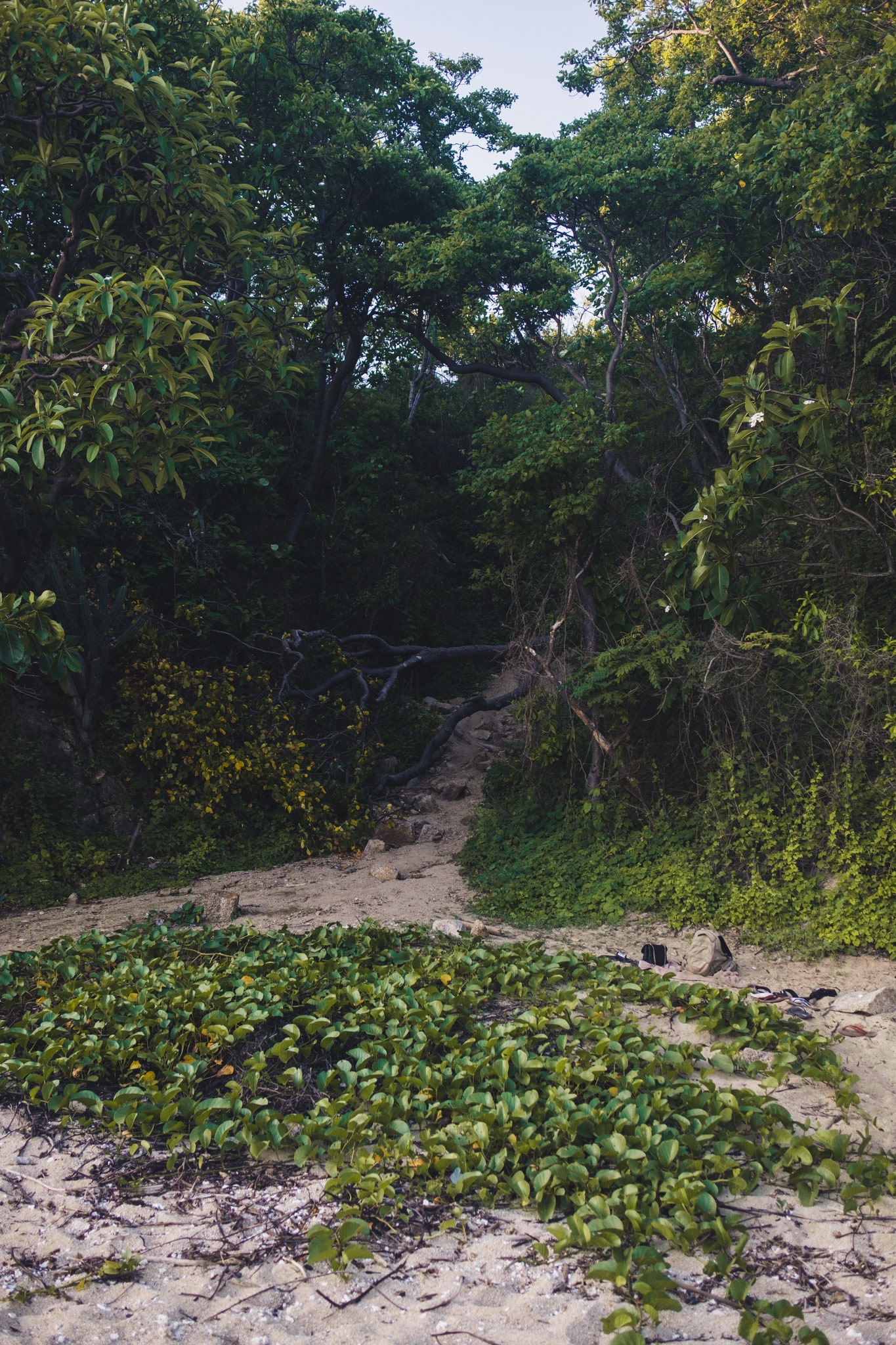 visiter plages huatulco