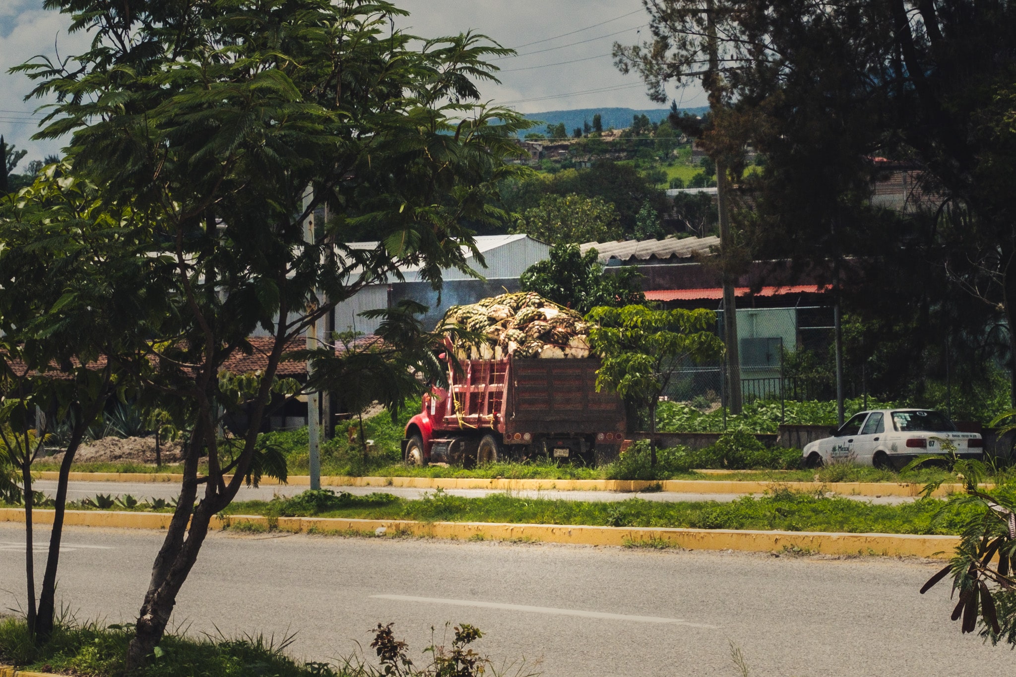 fabrication mezcal oaxaca