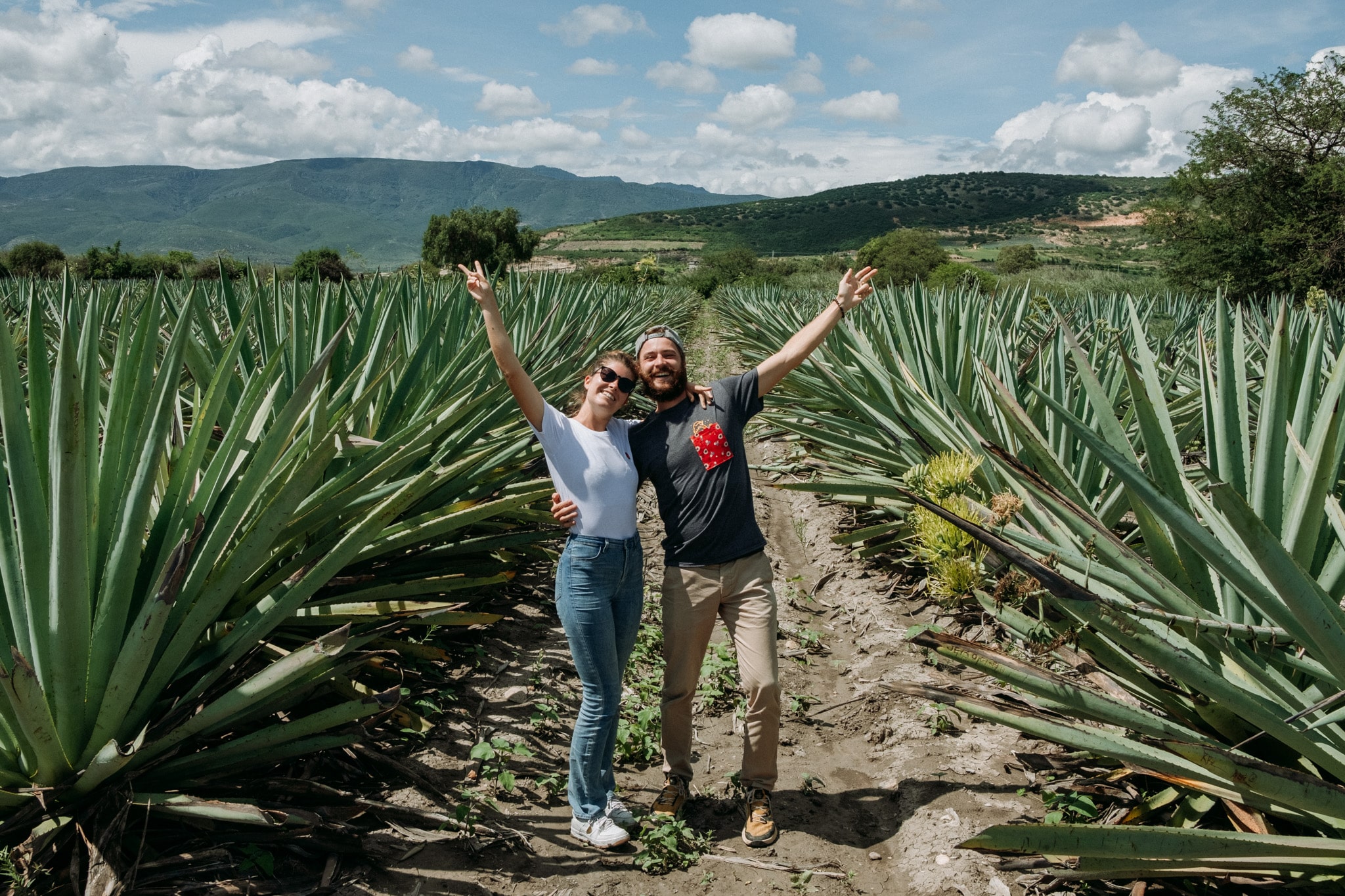 degustation mezcal oaxaca mexique