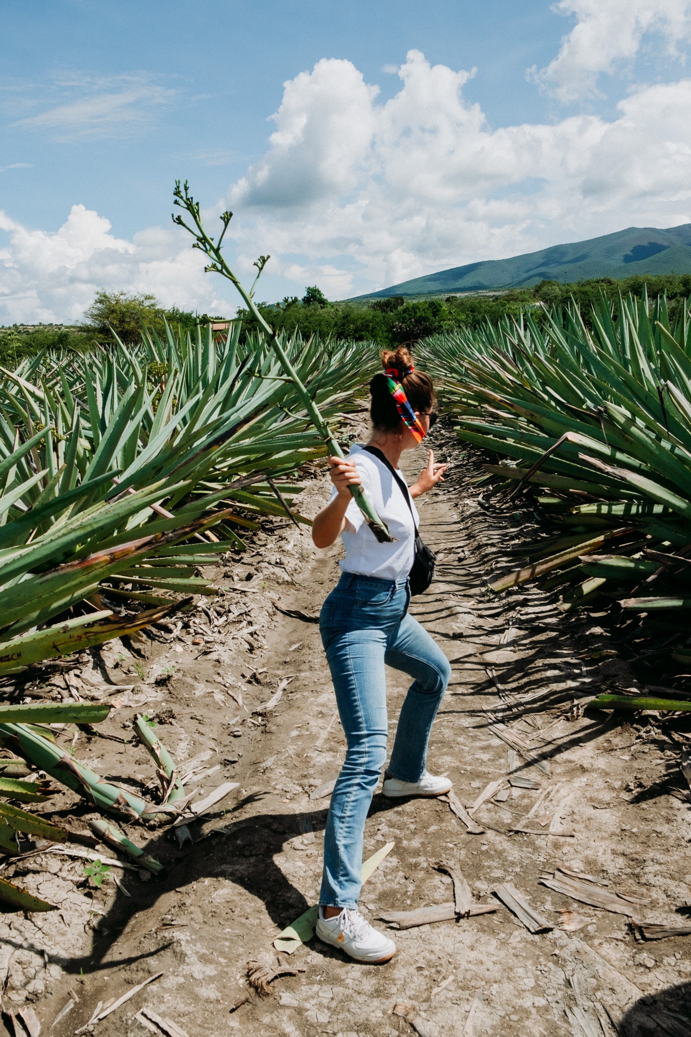 mezcal oaxaca day trip