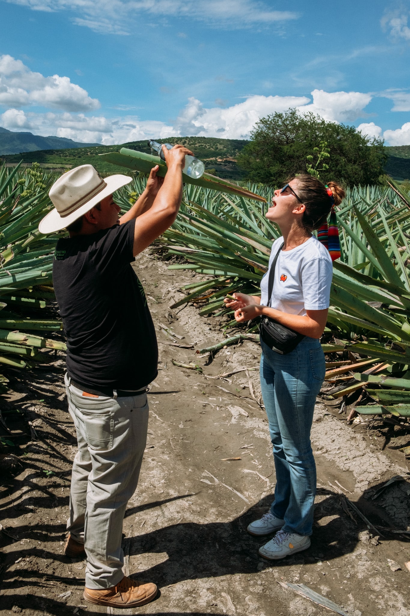 degustation mezcal Oaxaca
