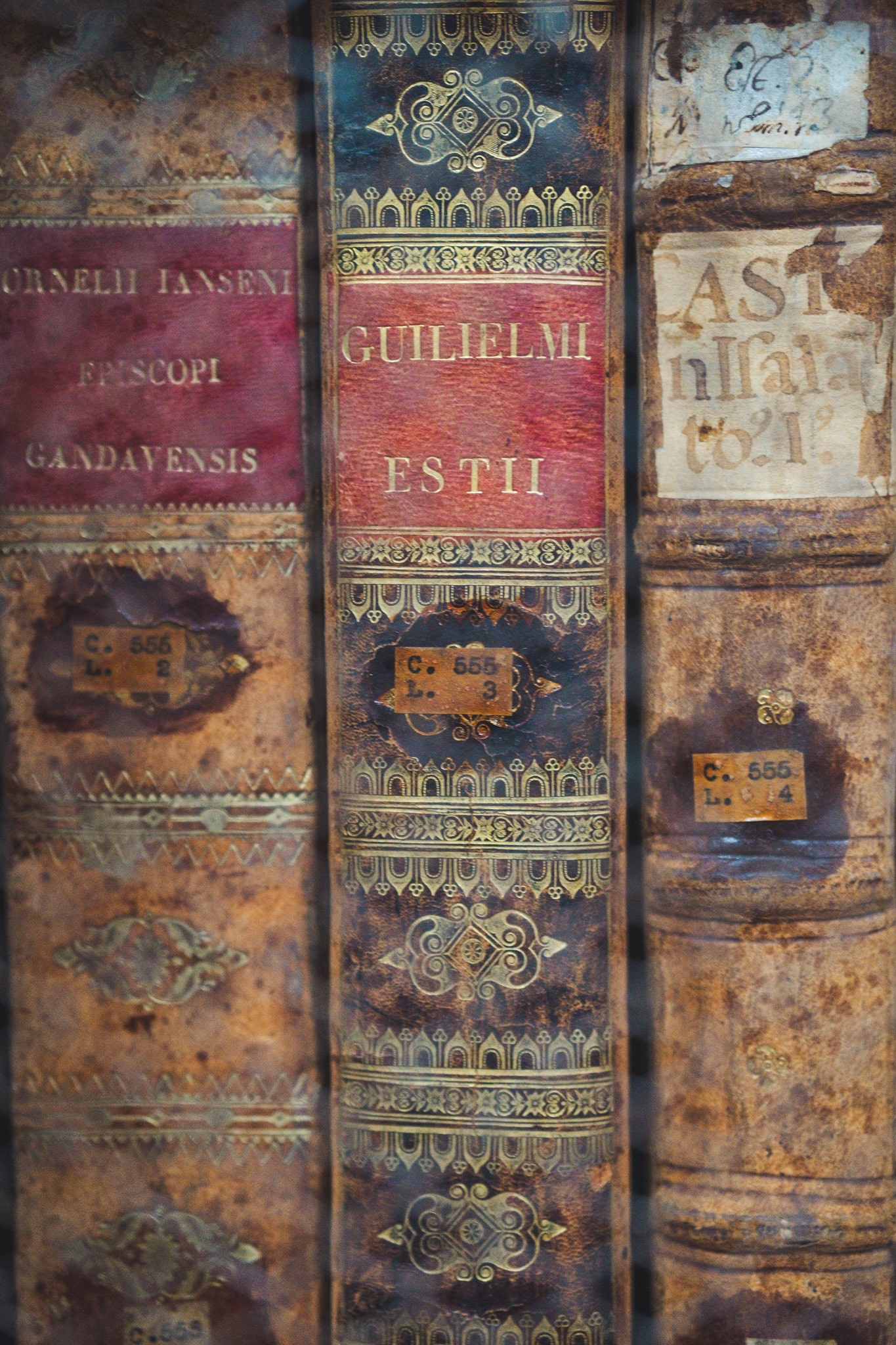 casa_de_la_cultura-1191 manuscrits puebla