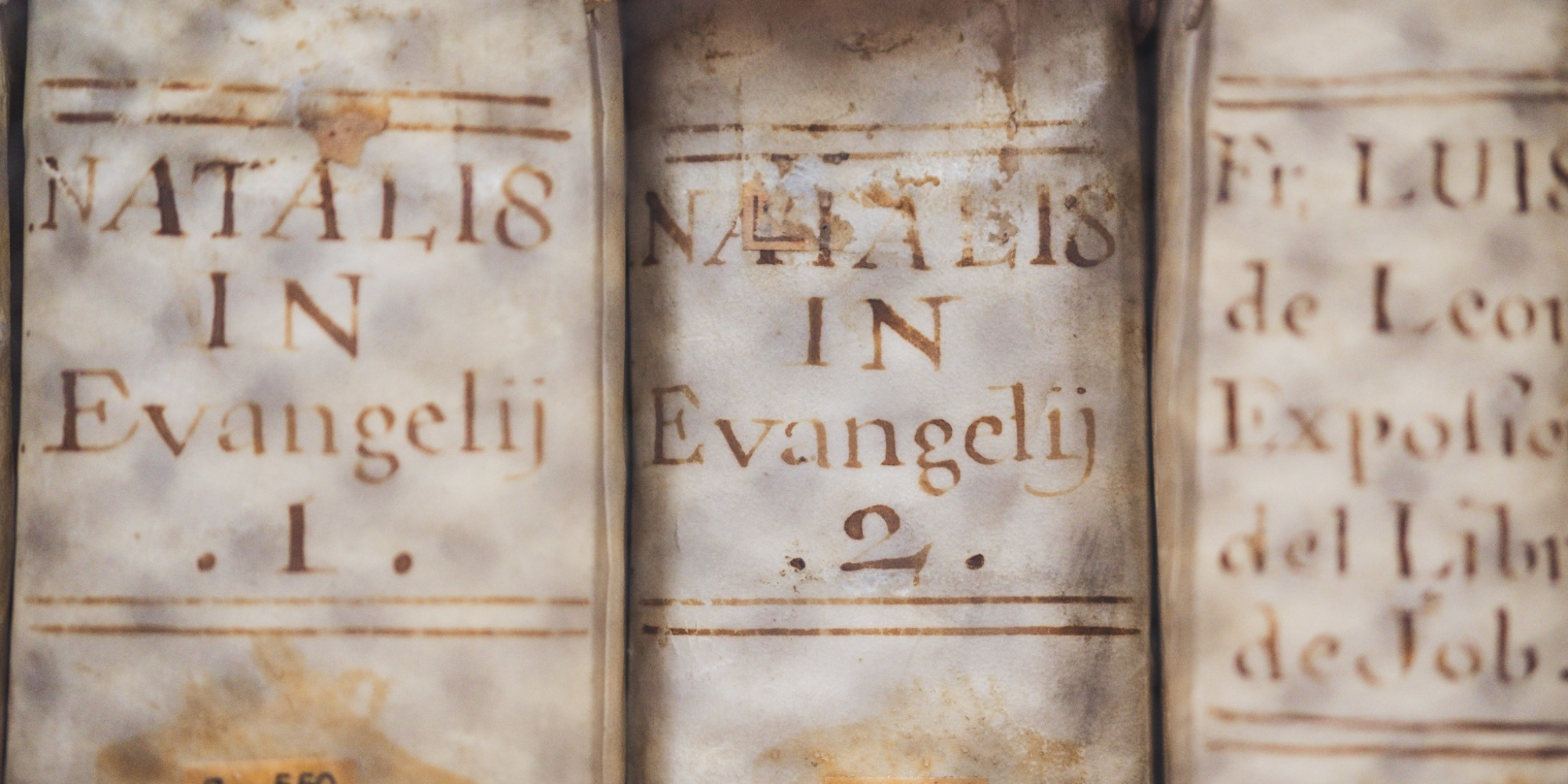 casa_de_la_cultura-1192 palafoxiana bibliotheque puebla