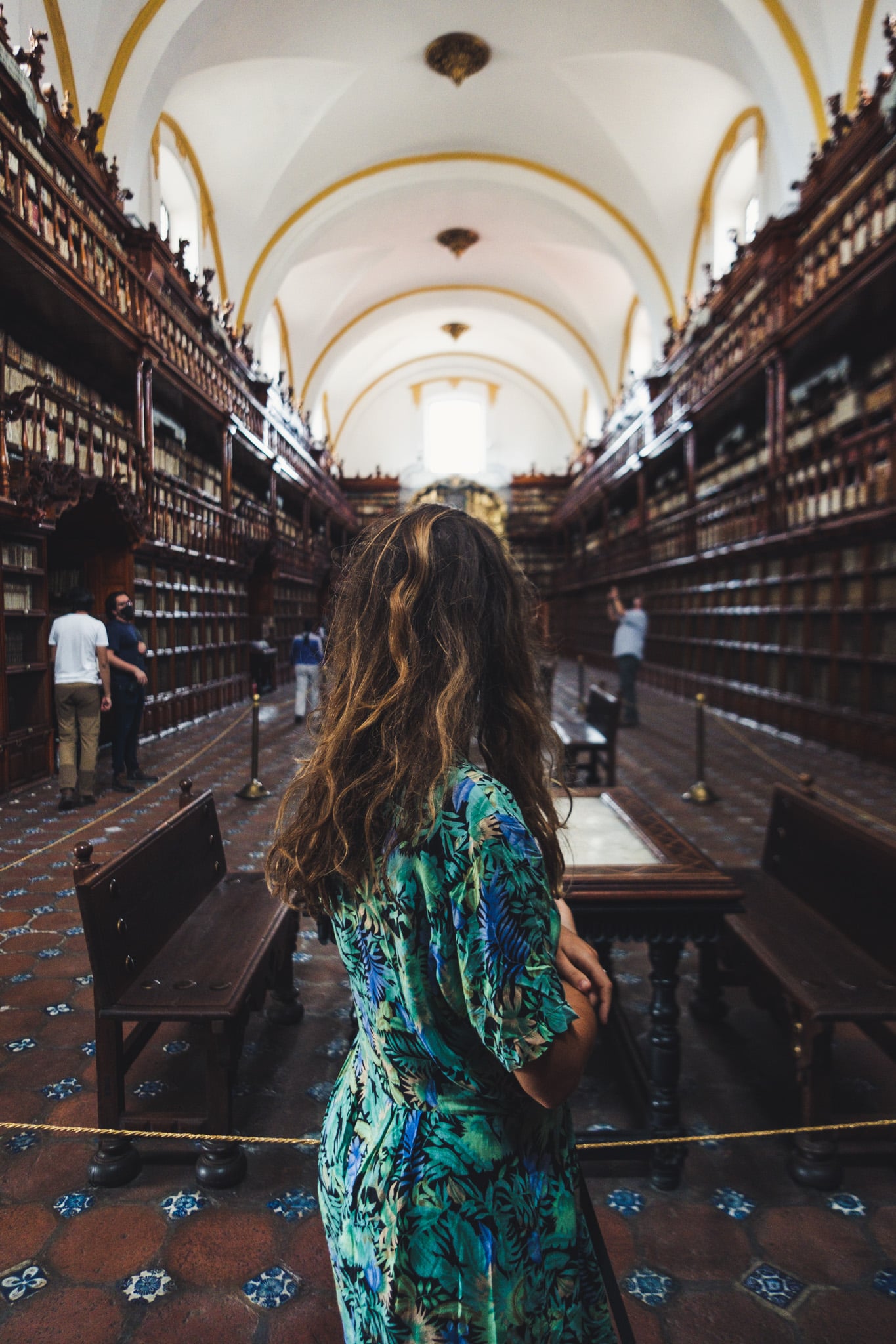 casa_de_la_cultura-1227 paresseux curieux bibliotheque
