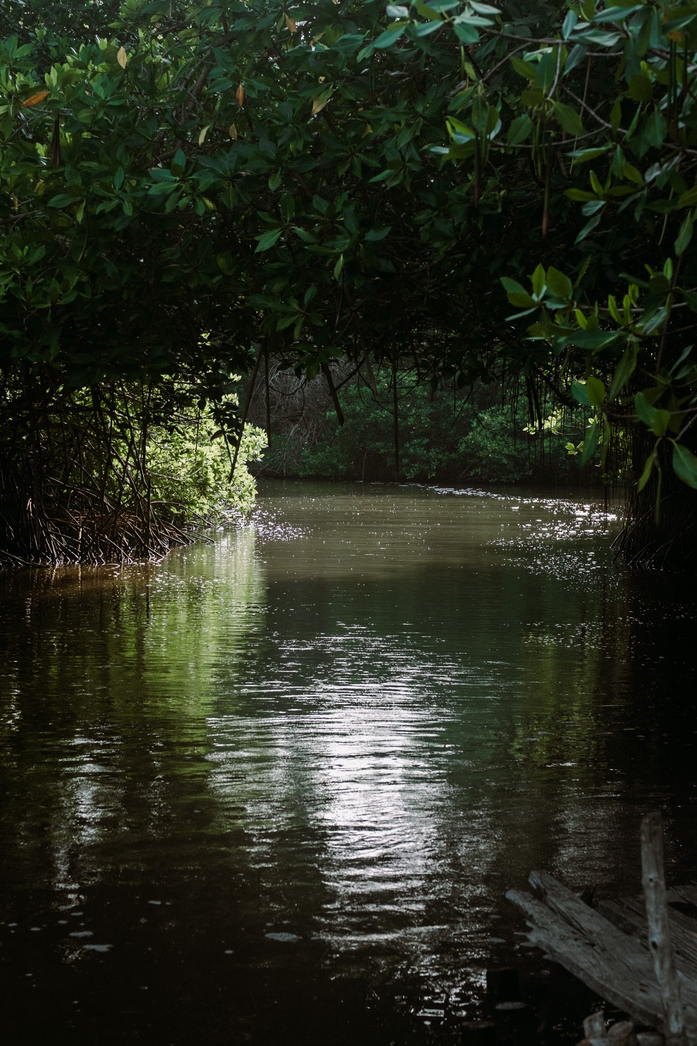lancha laguna chacahua