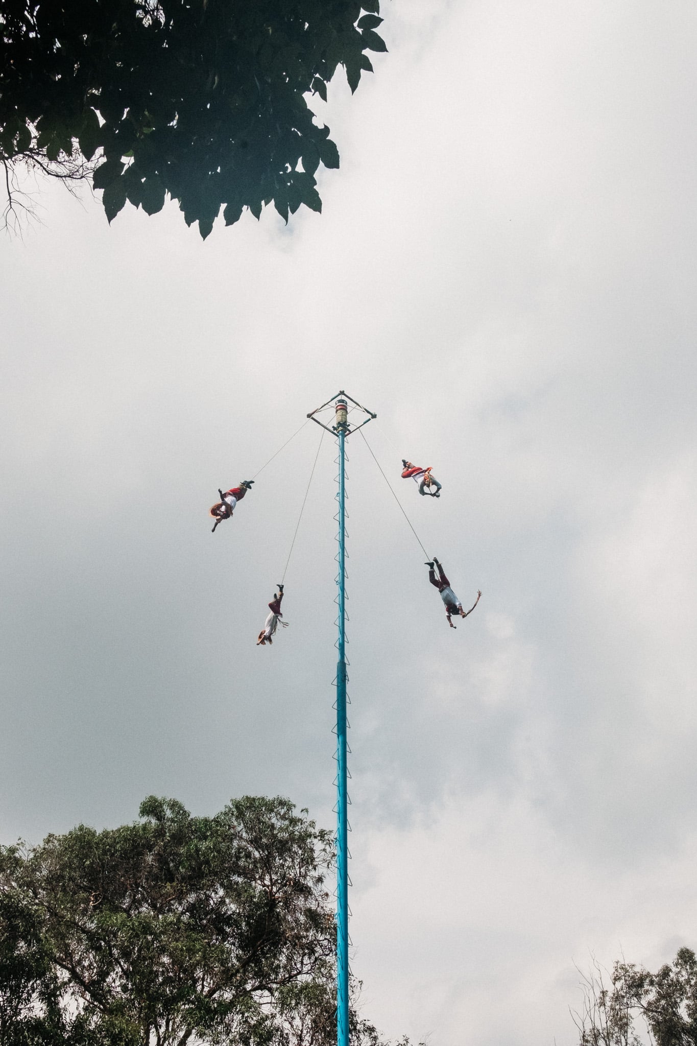 parc chapultepec spectacle voltige