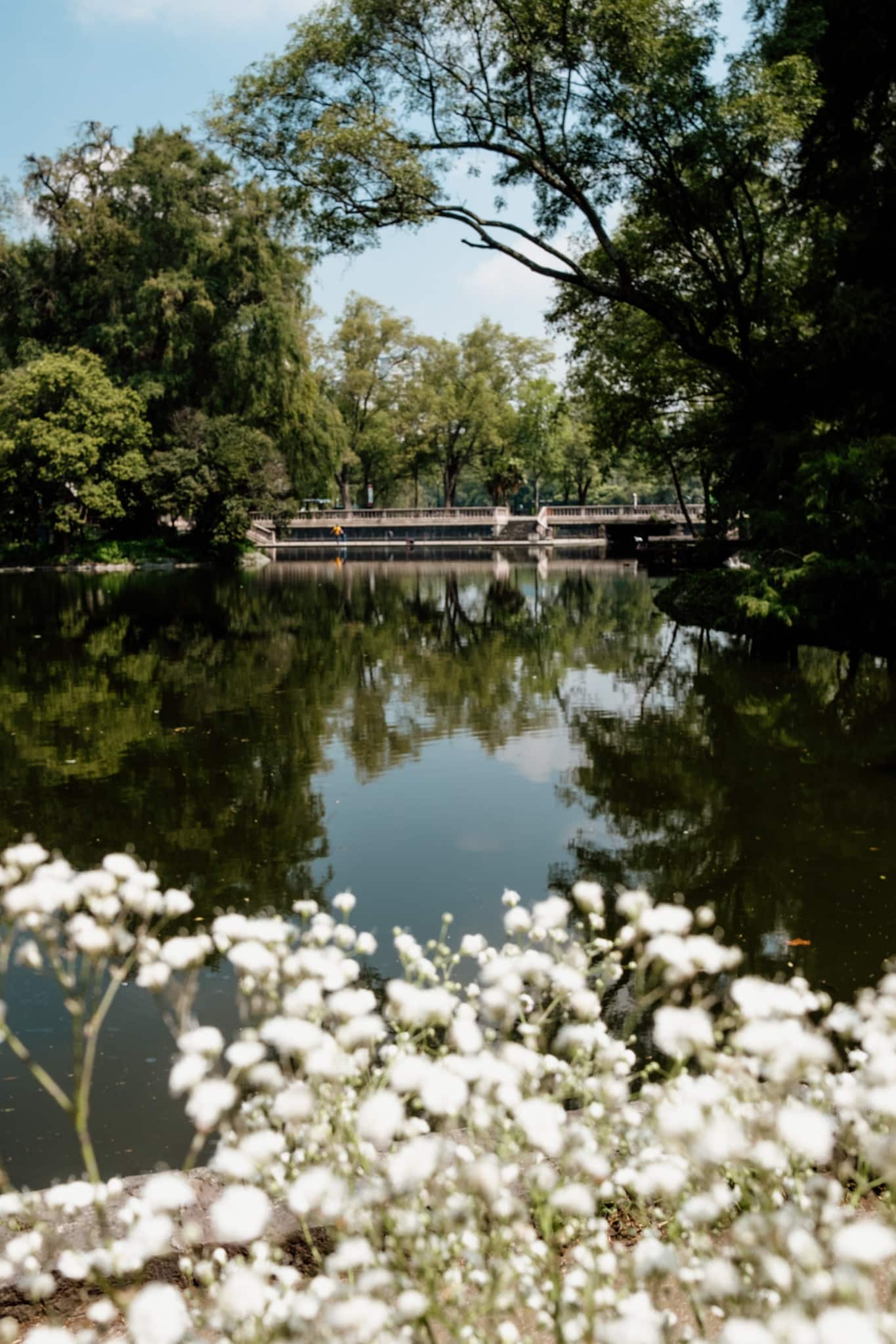 visiter parc de chapultepec cdmx