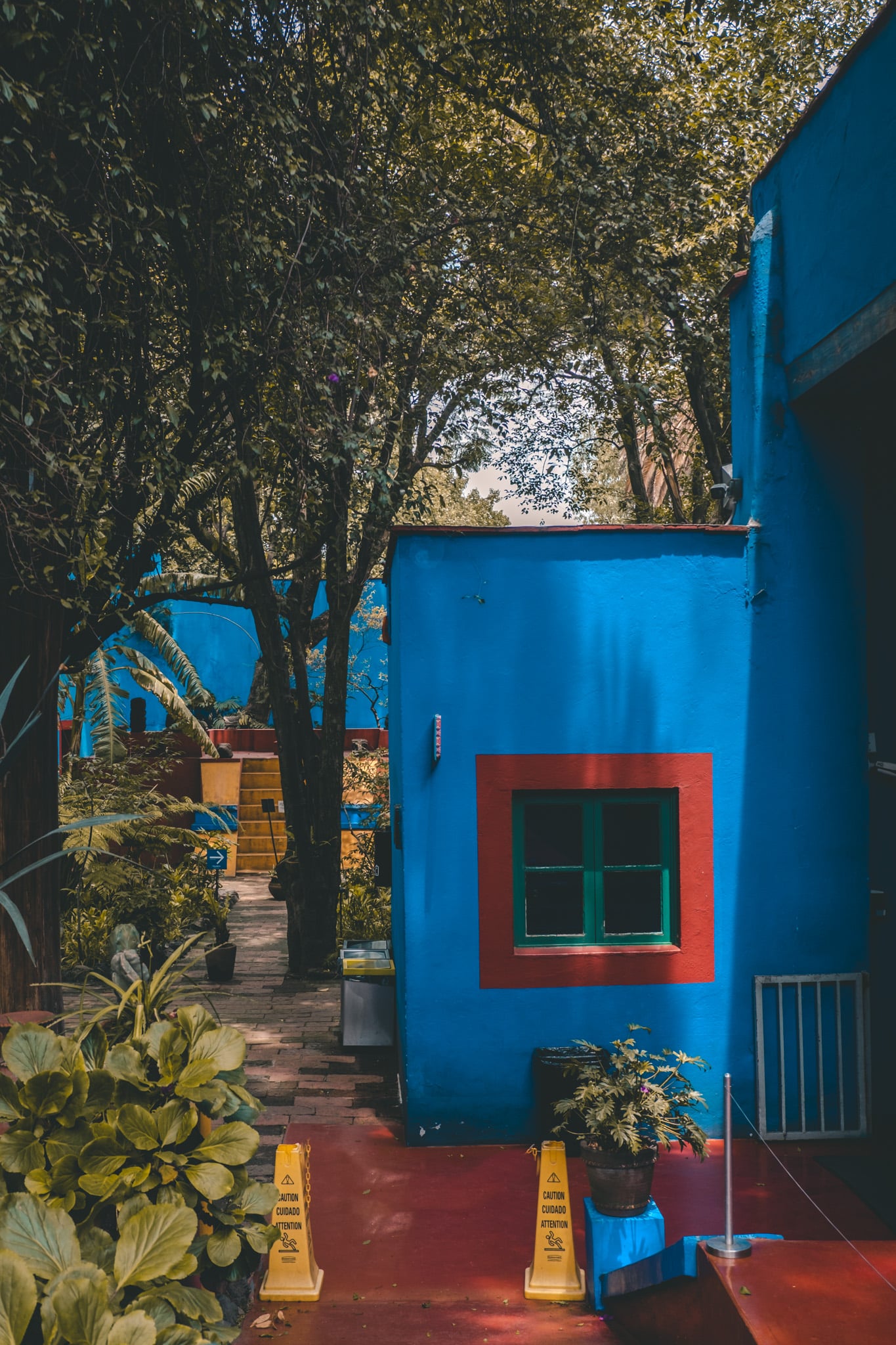 museo frida Kahlo mexico city