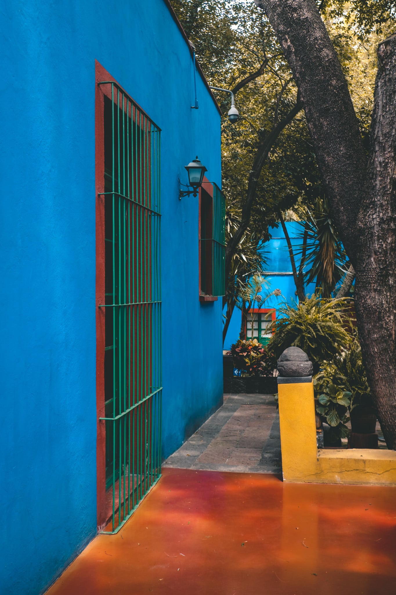 frida kahlo et diego riviera museo