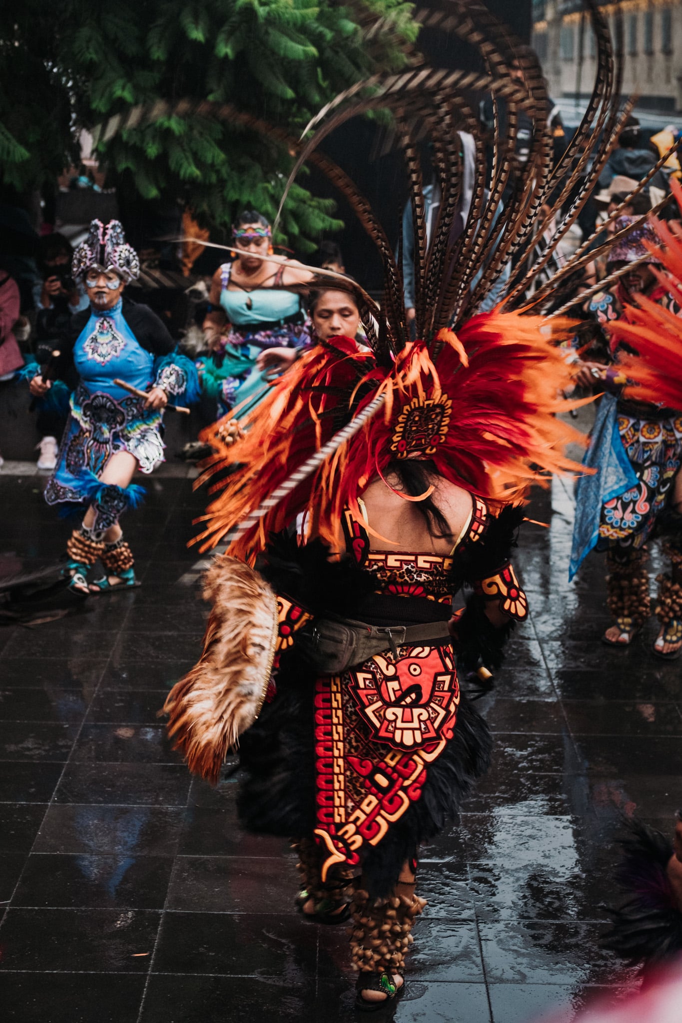 fete peuple originel zocalo