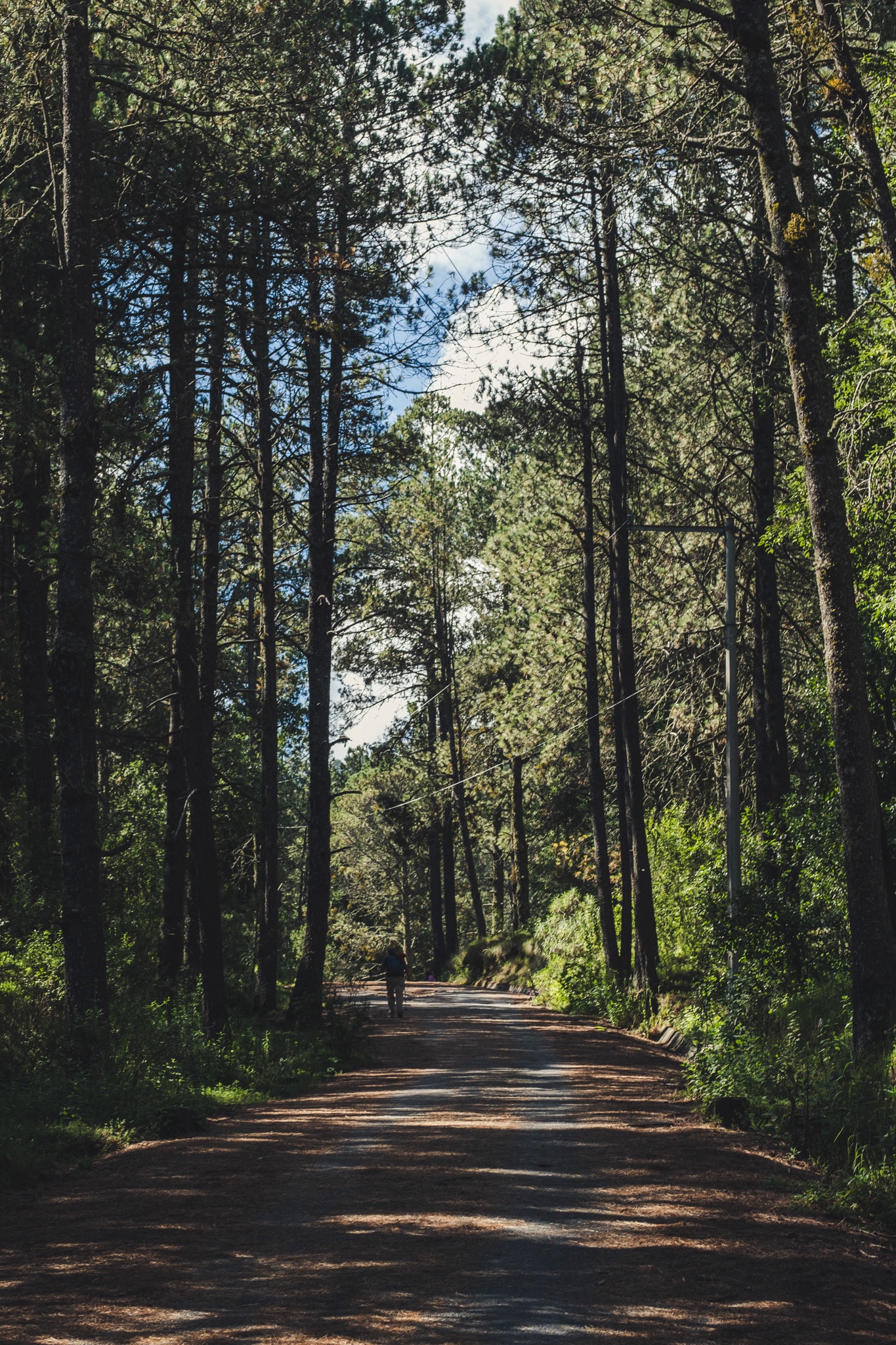 puebla_la_malinche-1892 randonnée sur la route malinche