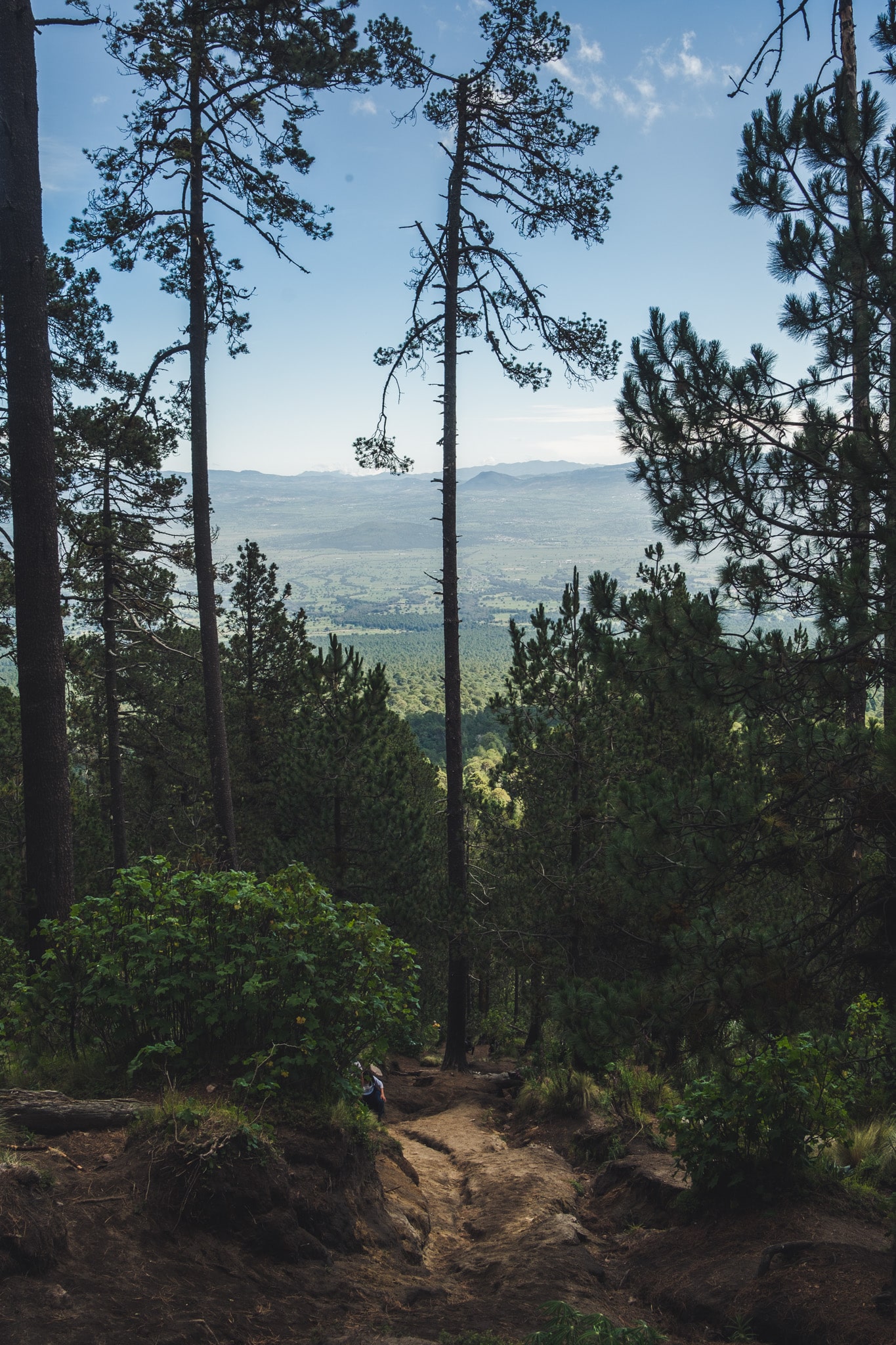 puebla_la_malinche-1900 visiter puebla et faire la rando de la malinche