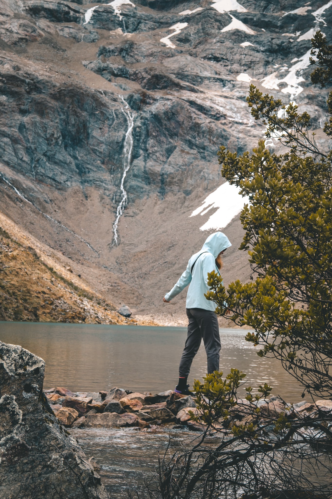 paresseux curieux trek materiel