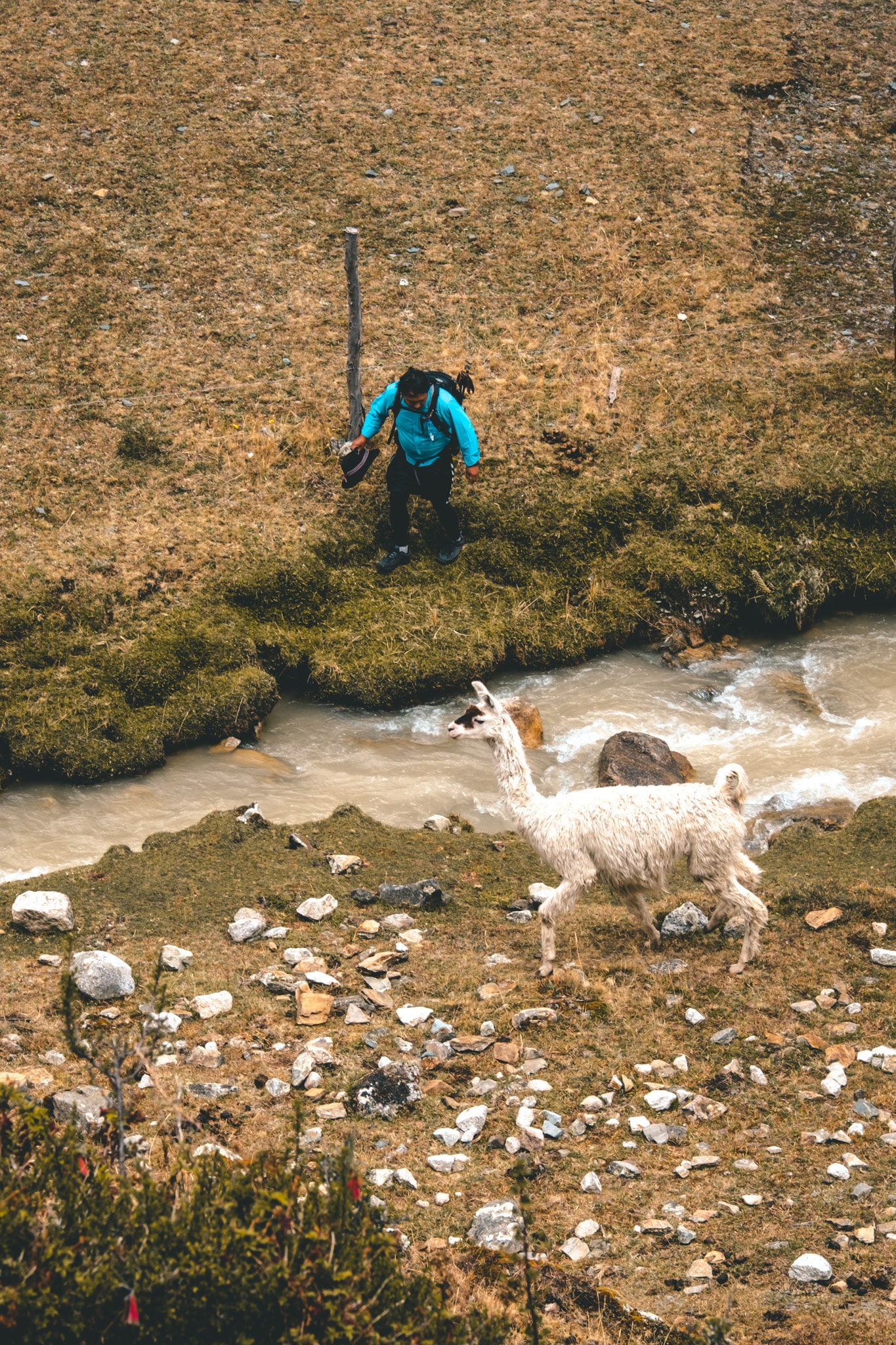 machu picchu reservations guide