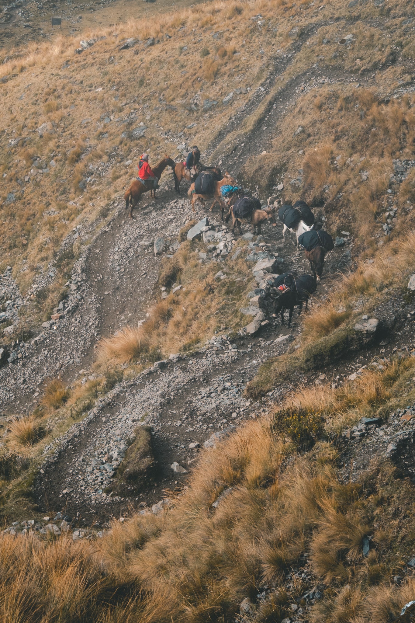 route 7 serpents salkantay pass