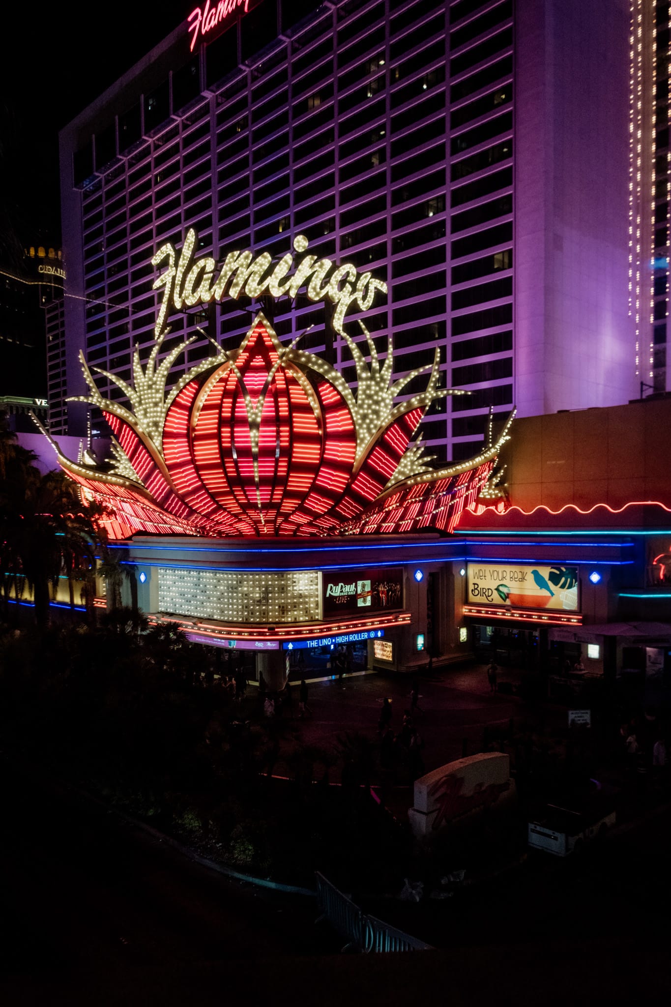 flamingo visiter las vegas