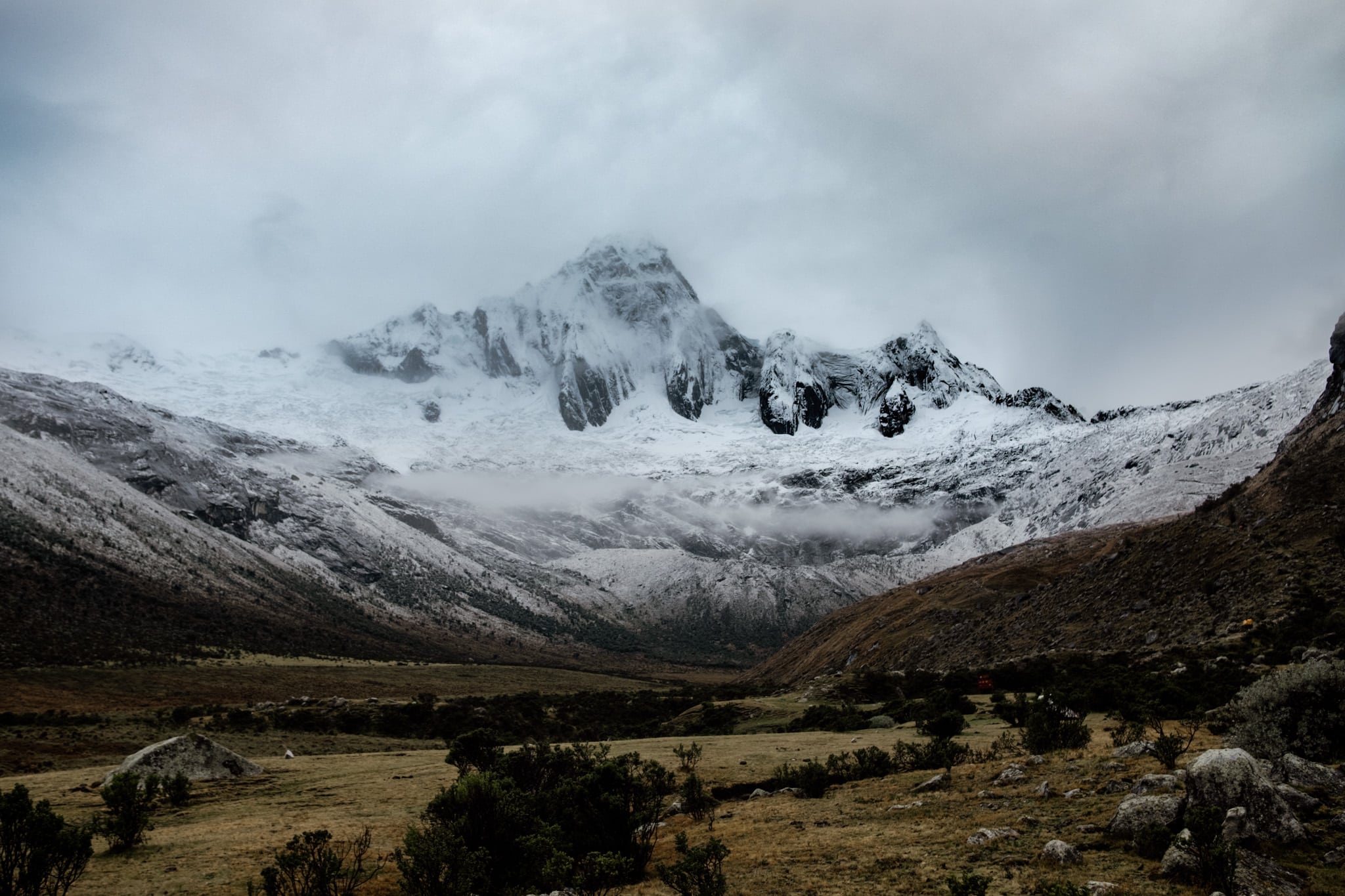 surprise de la saison des pluies
