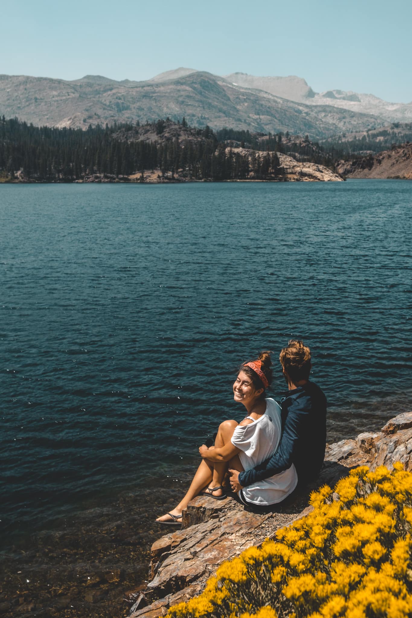 paresseux curieux yosemite