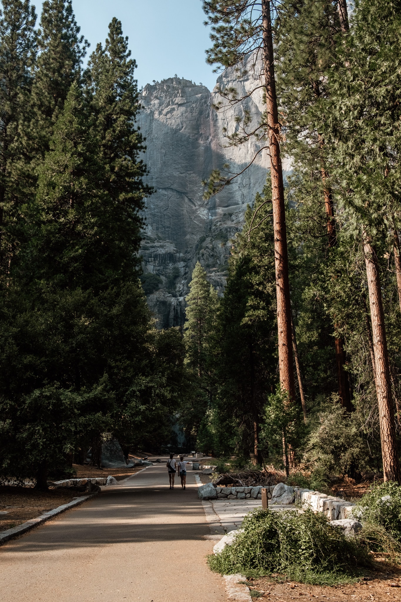 foret yosemite national park
