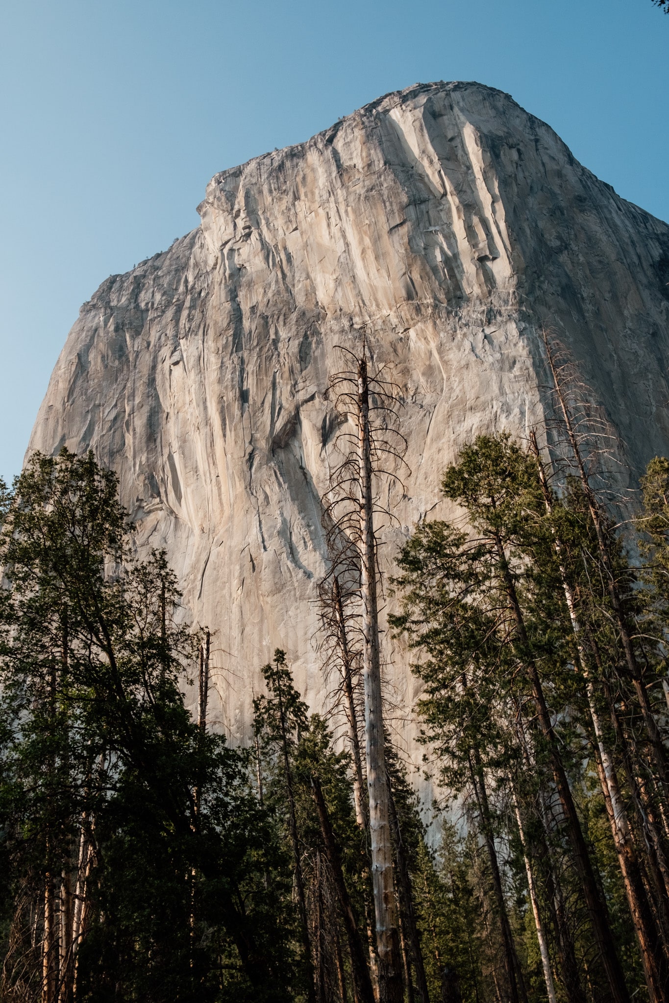 el capitan yosemite