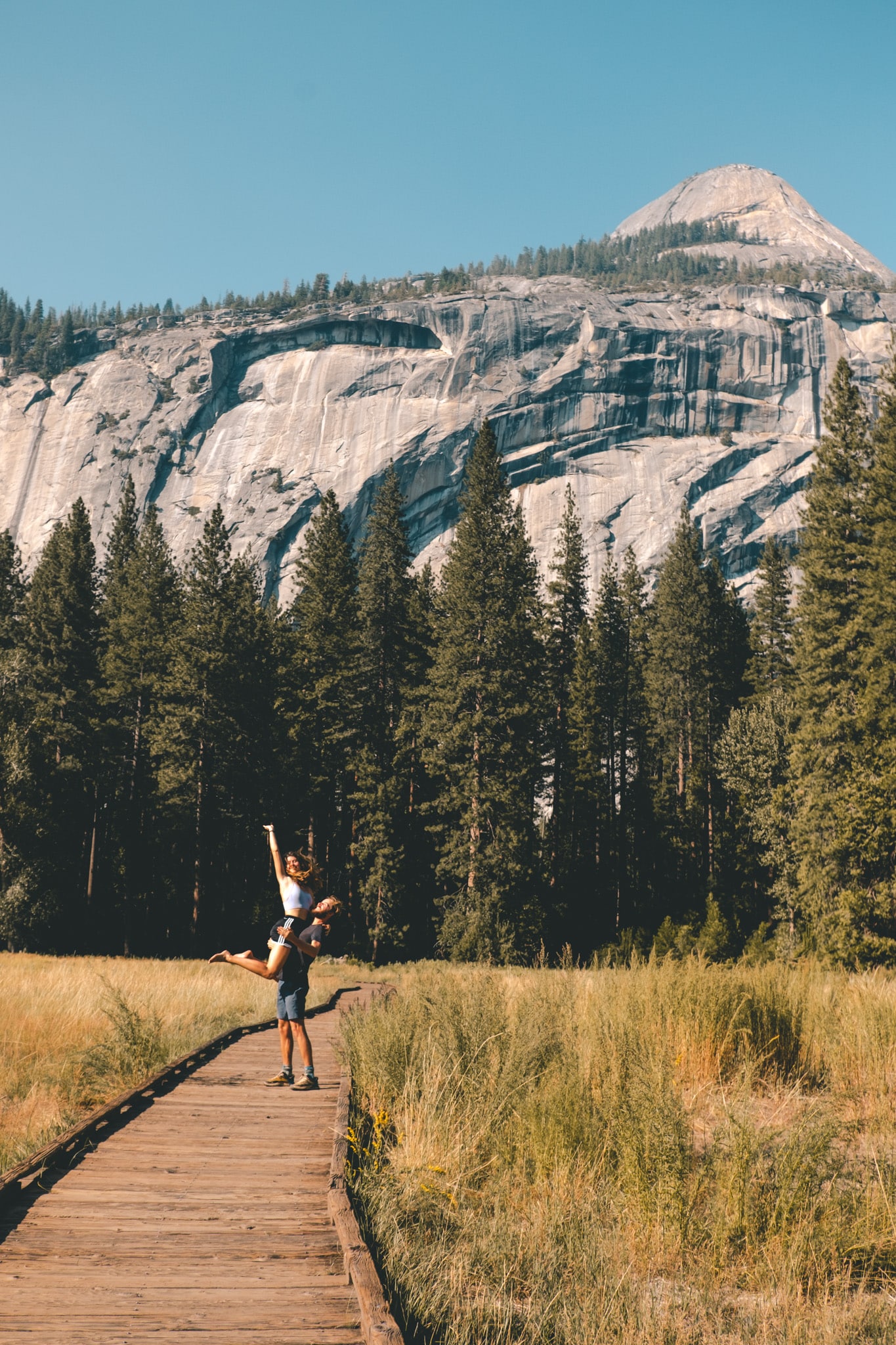 passerelles dans la nature