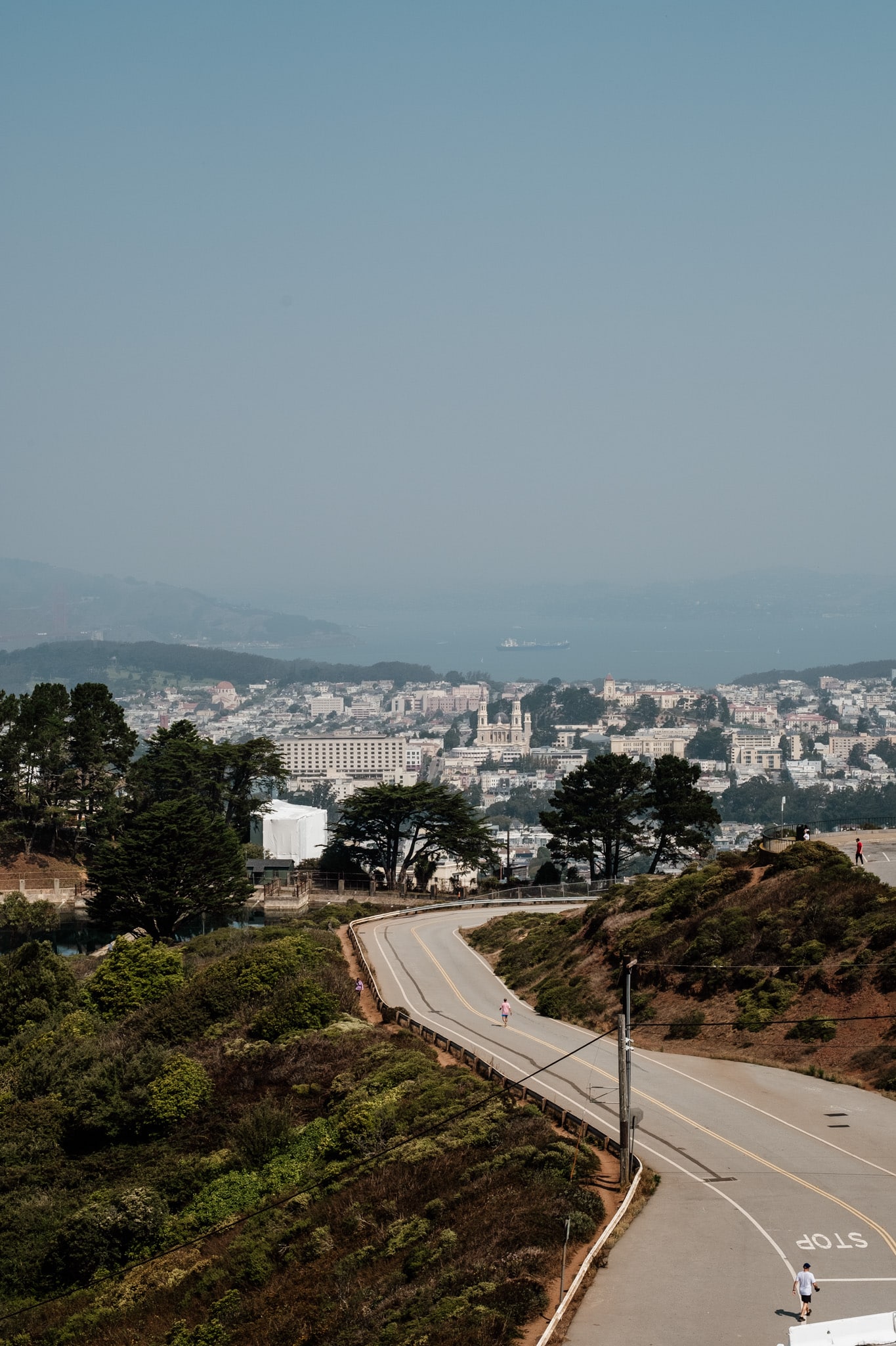 twin peaks view point