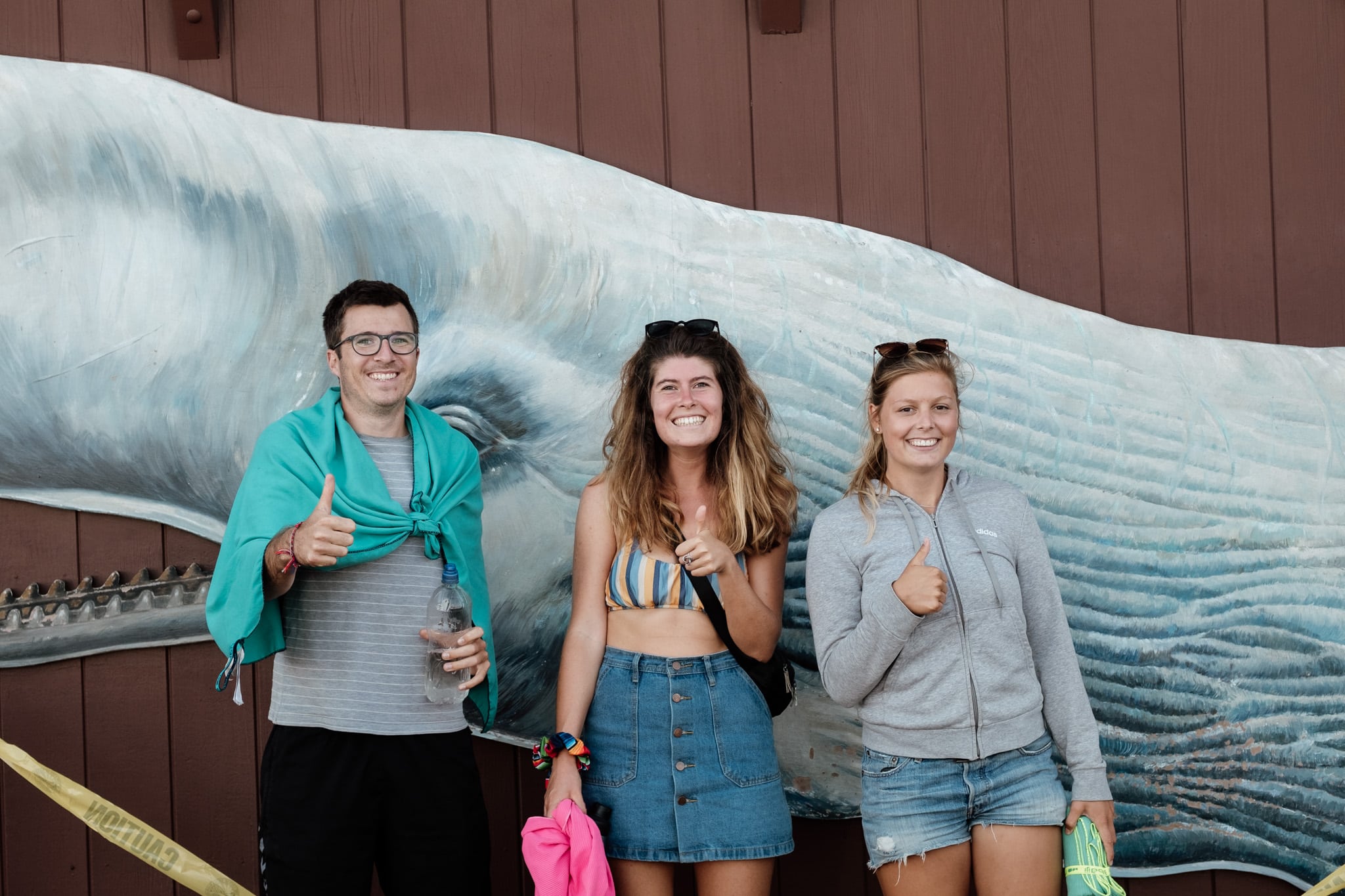 voir des baleines en californie