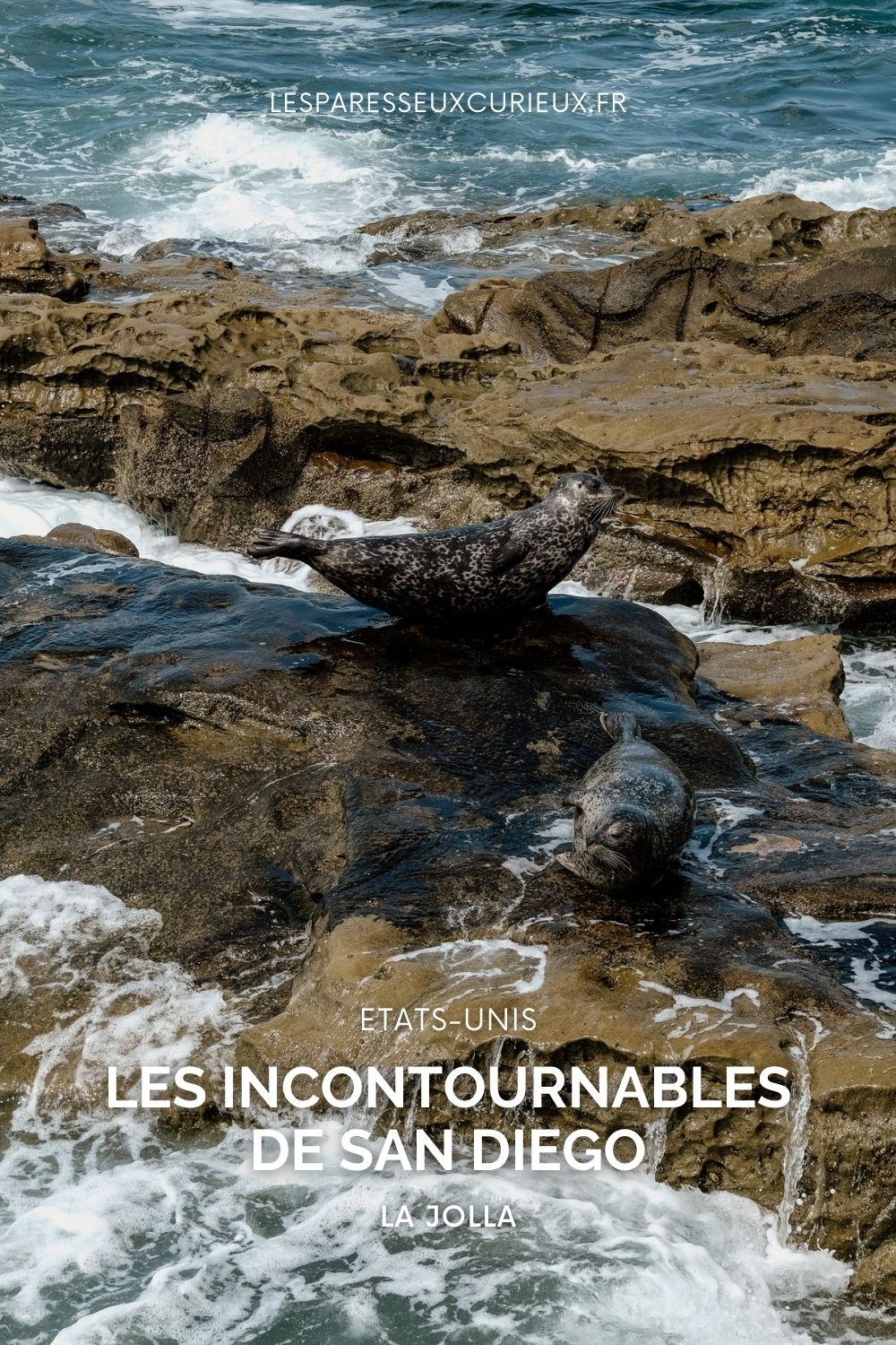 jolla cove guide san diego californie pinterest