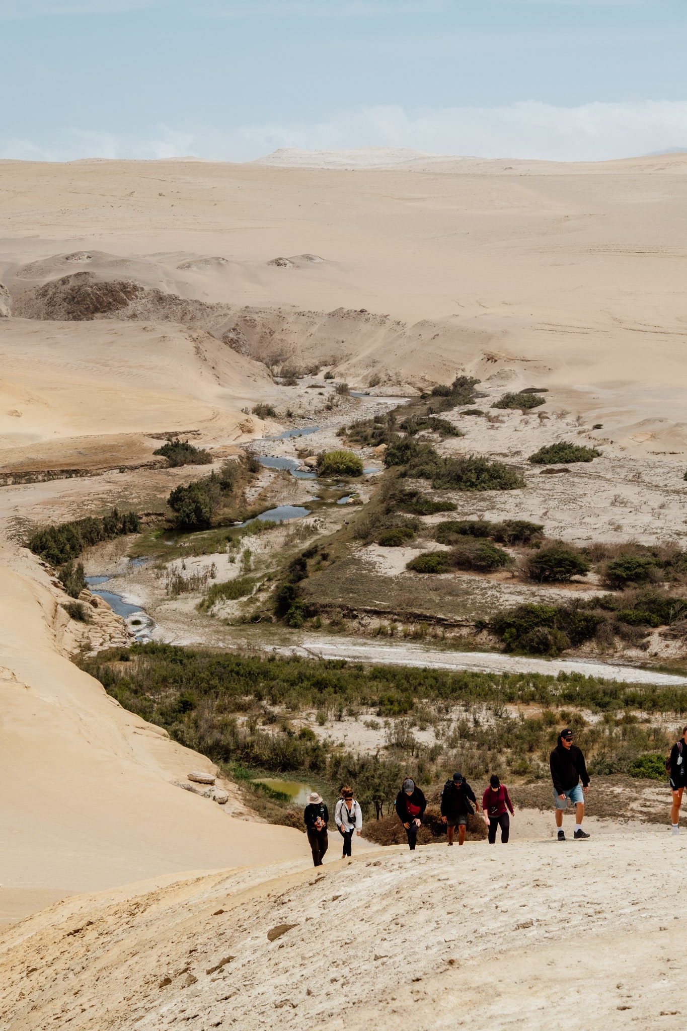 vue sur l'oasis du canyon